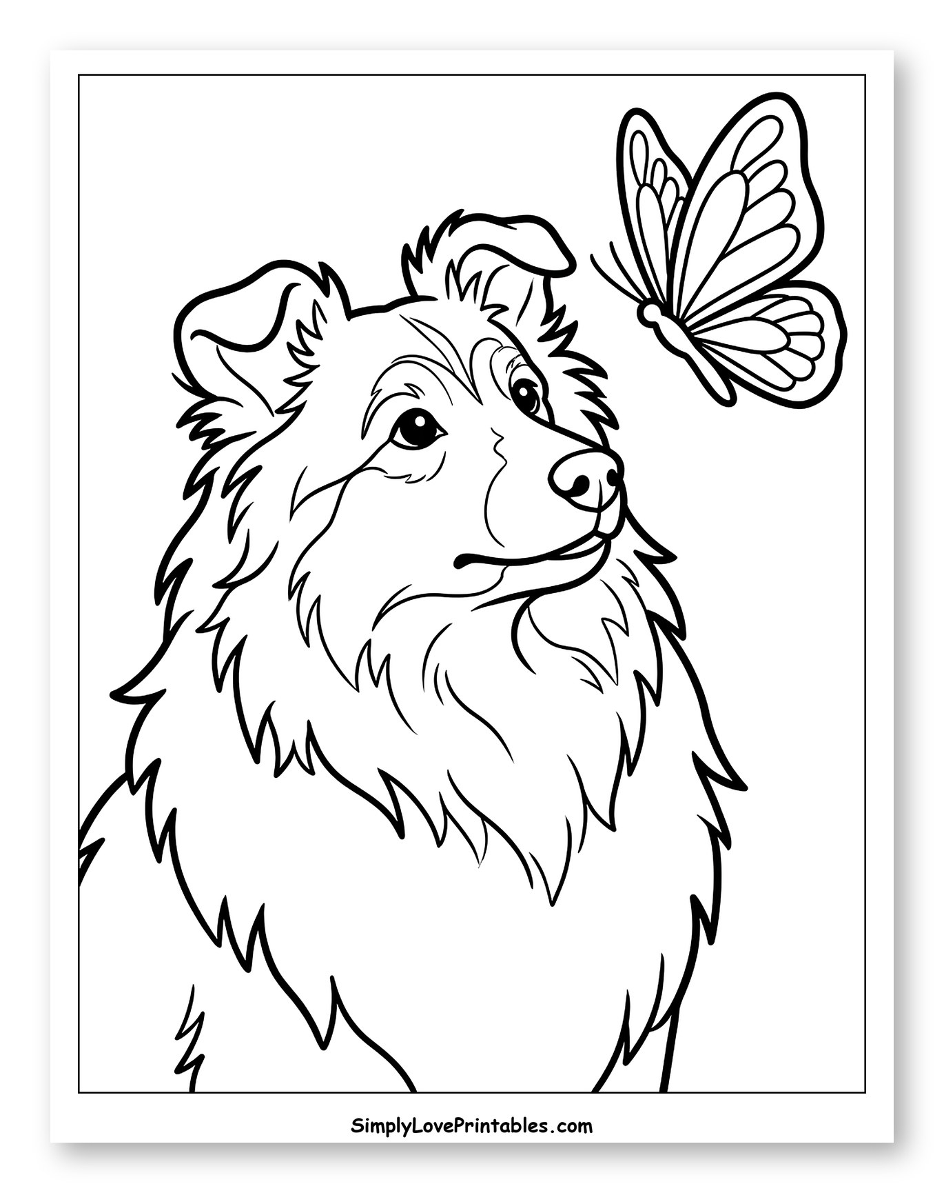 Shetland Sheepdog Looking at a Butterfly Coloring Page for Toddlers