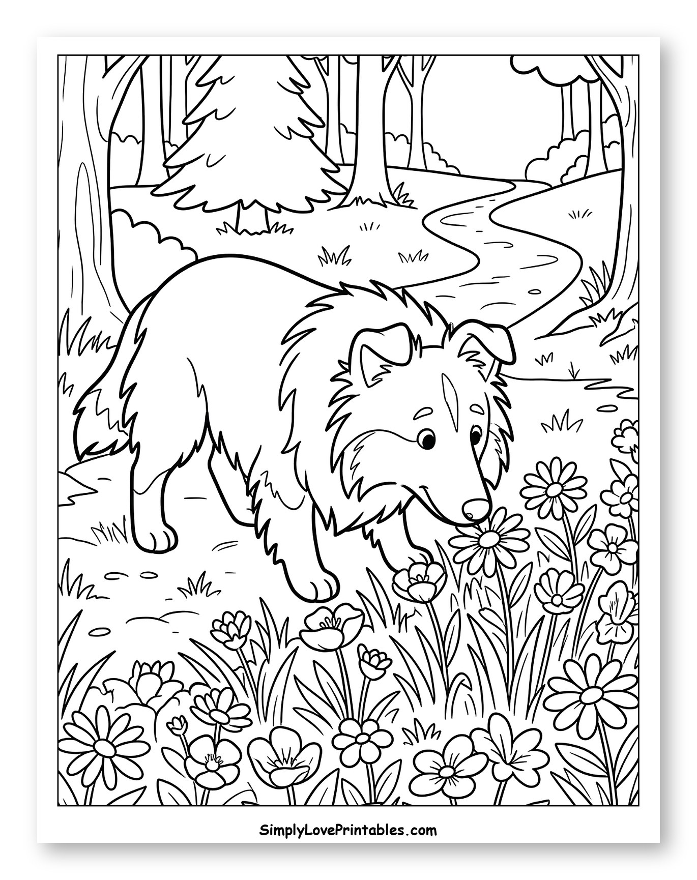 Shetland Sheepdog Sniffing Flowers in Forest