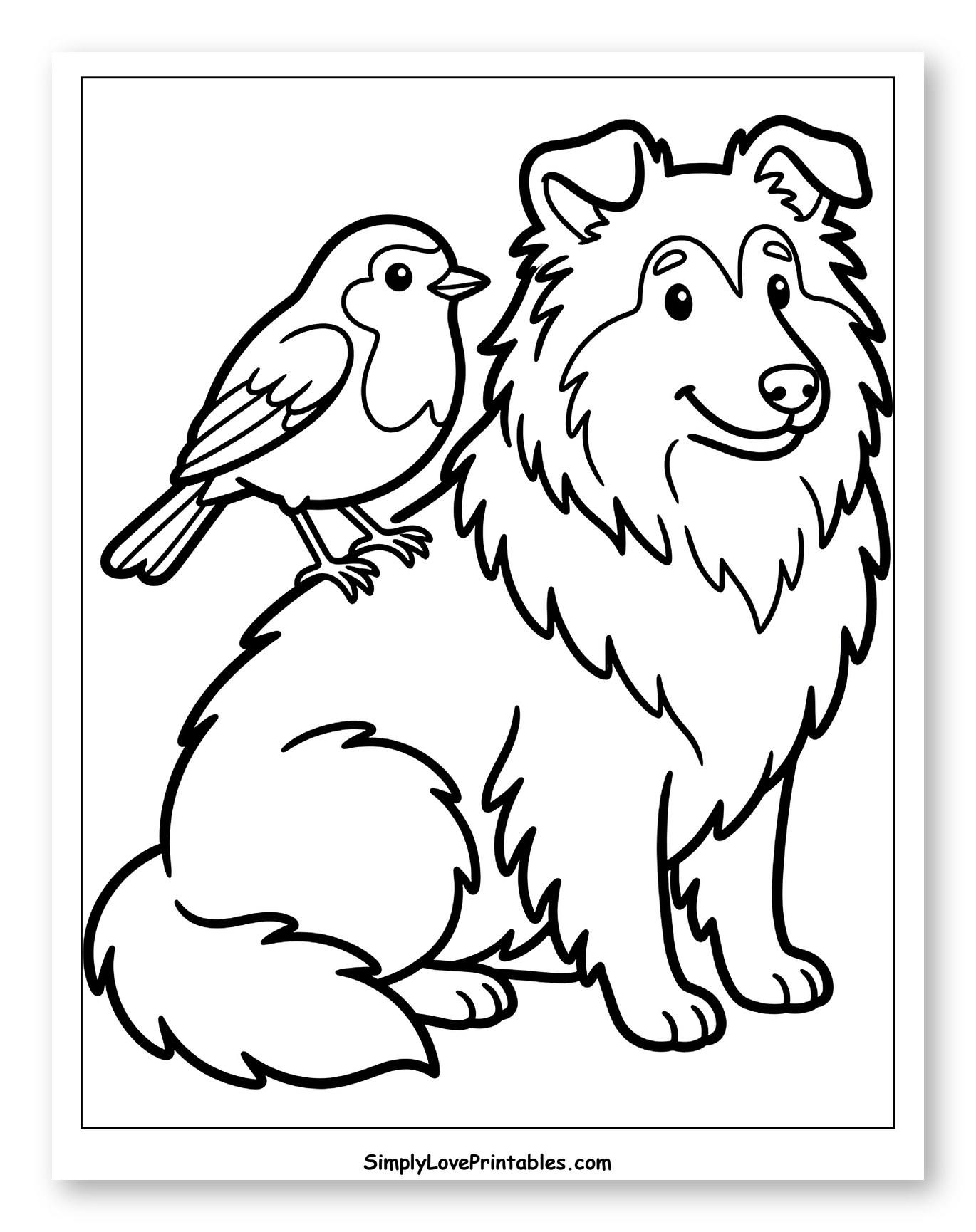 Shetland Sheepdog with a Bird on its Back