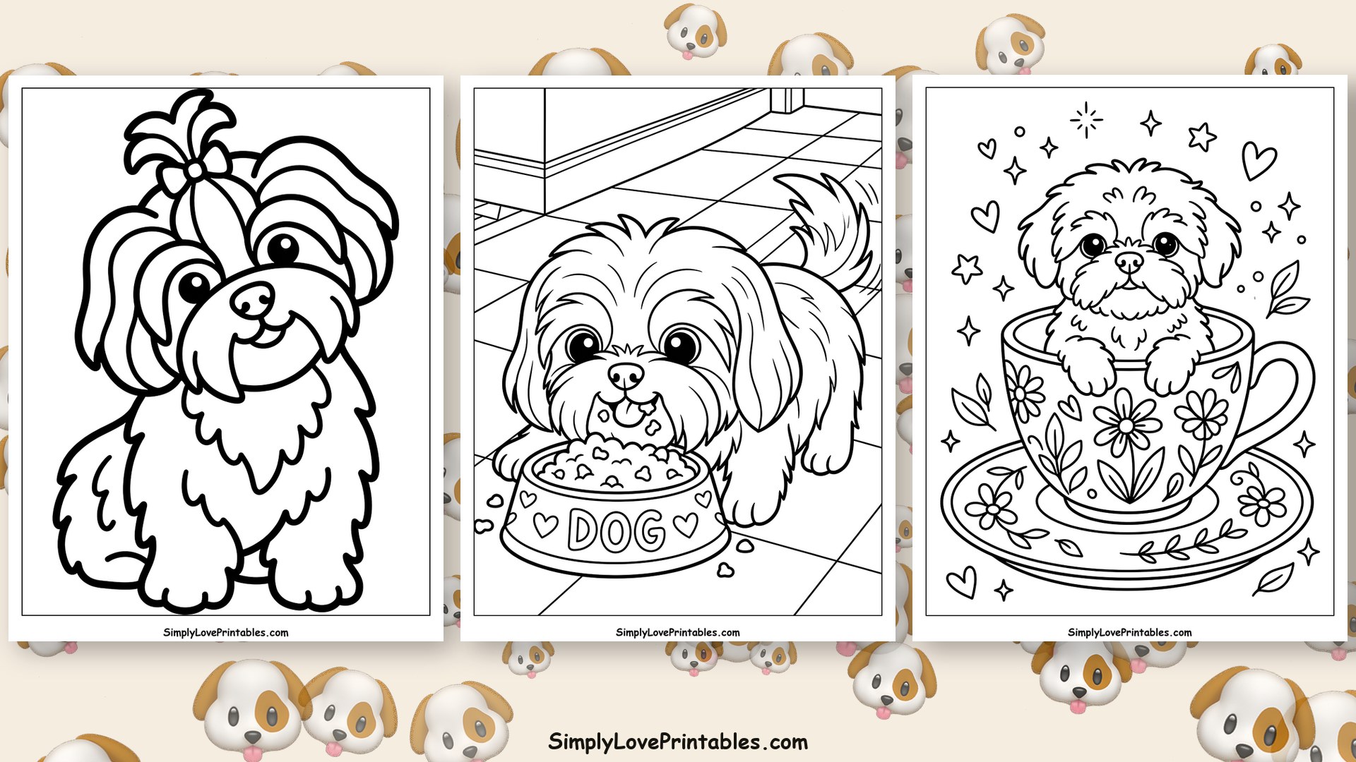 Shih Tzu