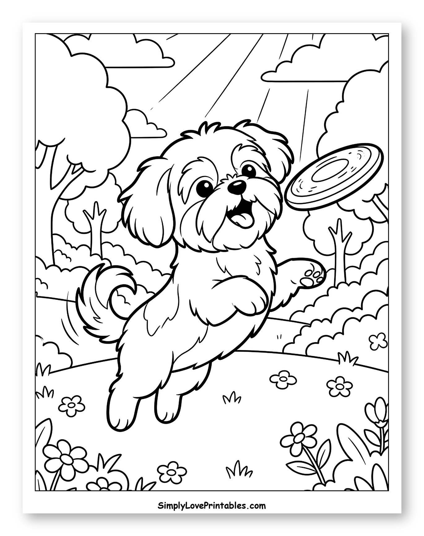Shih Tzu Dog Jumping for Frisbee to Color for Kids