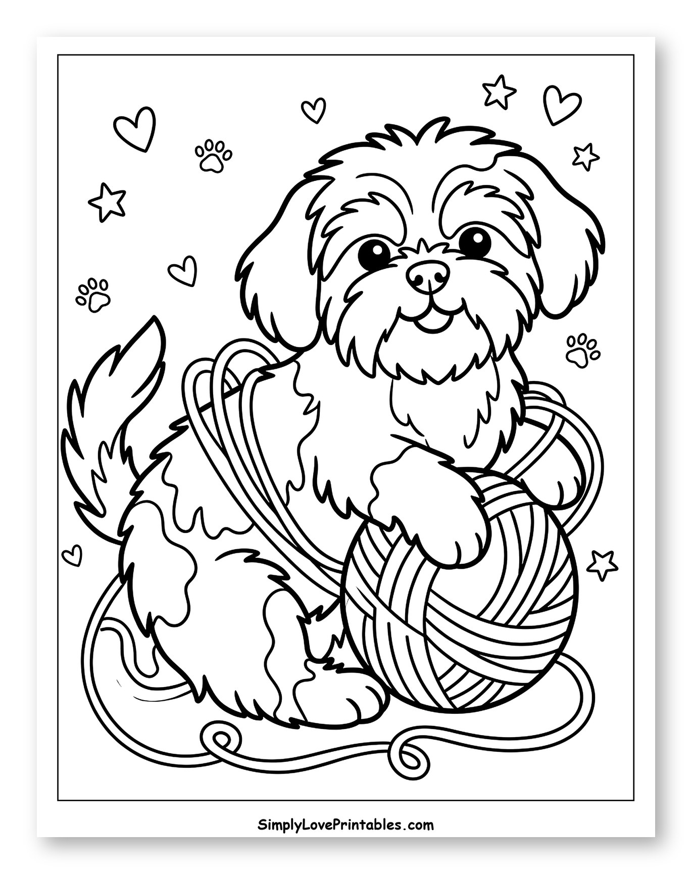 Shih Tzu Puppy Playing with Yarn Ball