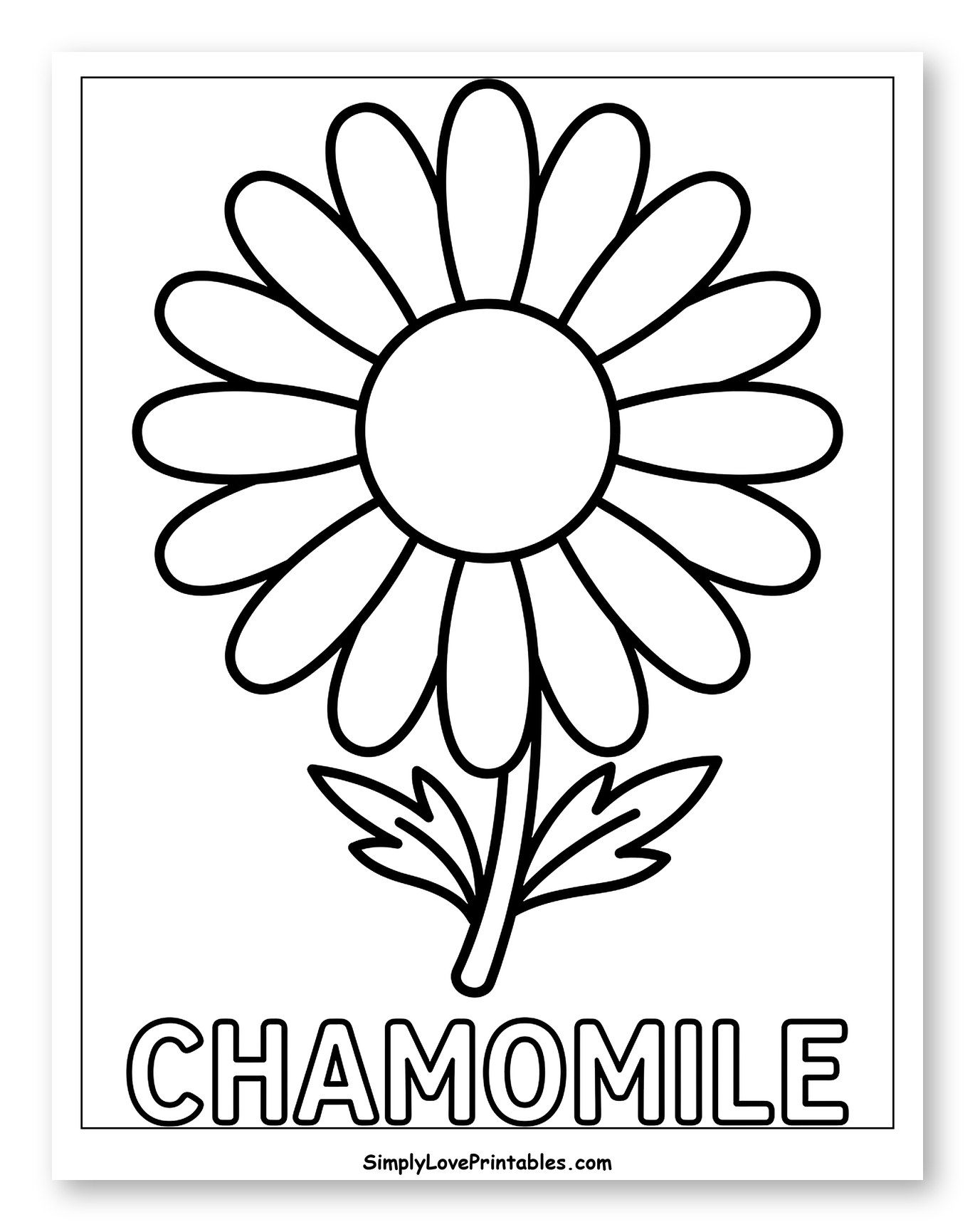 Simple Chamomile Flower Line Art