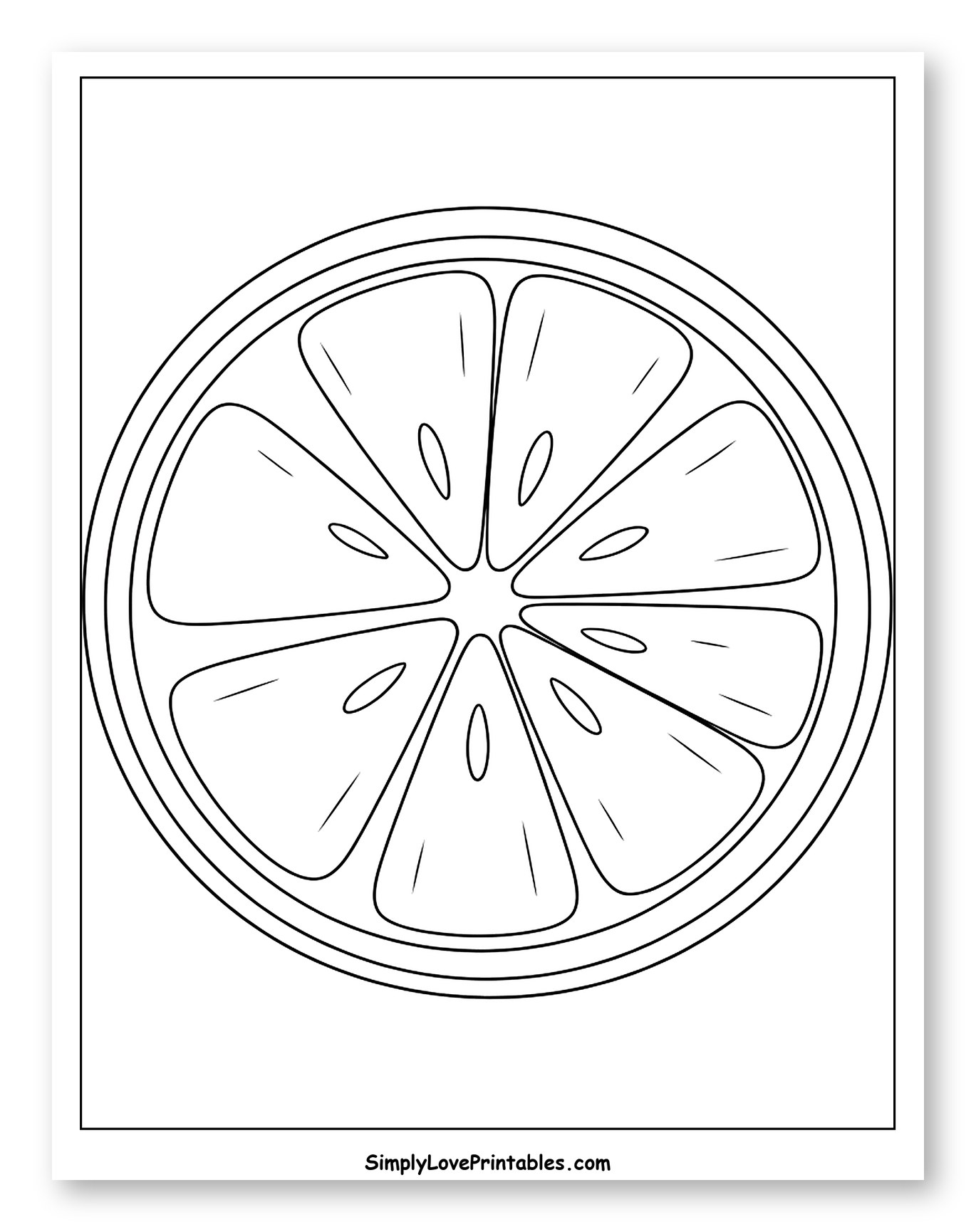 Simple Lemon Slice Cross Section