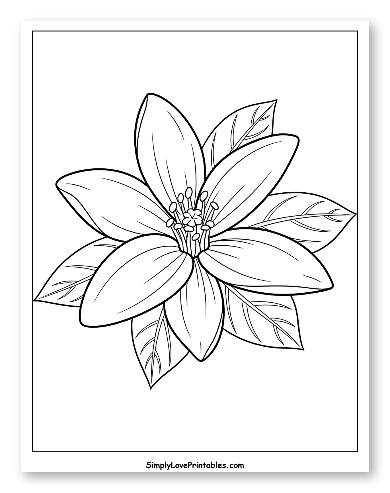 Simple Orange Blossom with Leaves Coloring Page for Toddlers