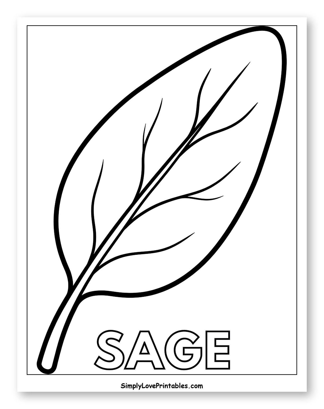 Simple Outline of a Sage Leaf to Color for Toddlers