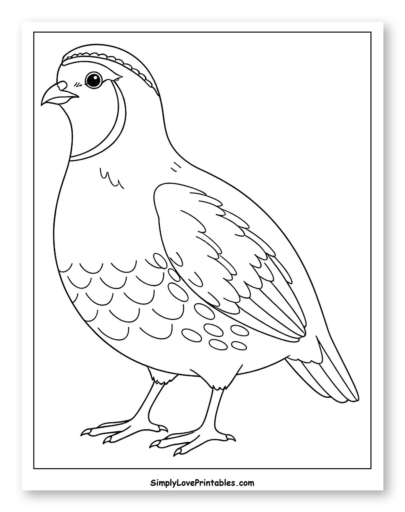 Simple Outline of a Standing Quail Coloring Sheet for Toddlers
