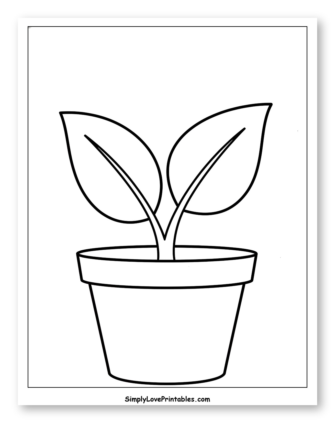 Simple Plant with Two Leaves in a Pot