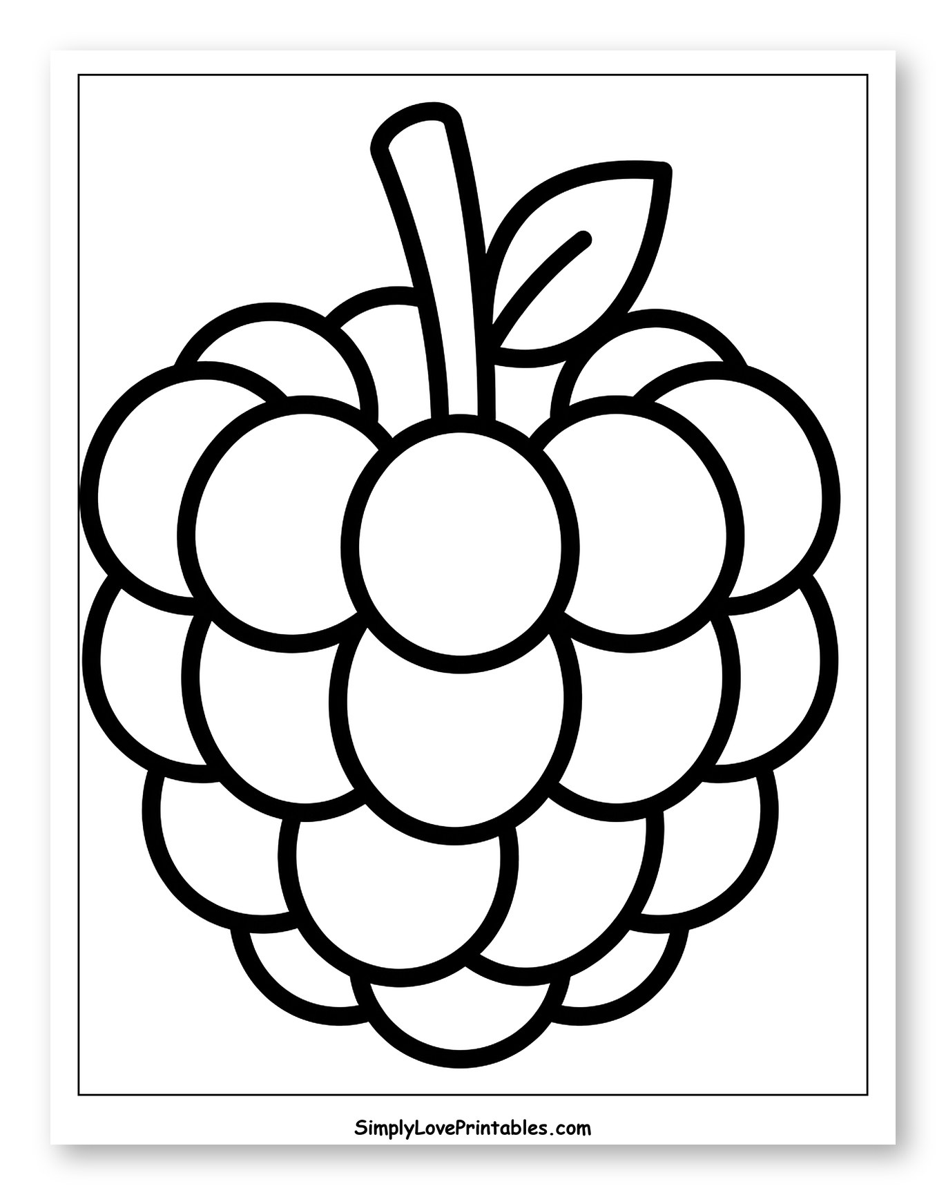 Simple Raspberry with Stem and Leaf Outline