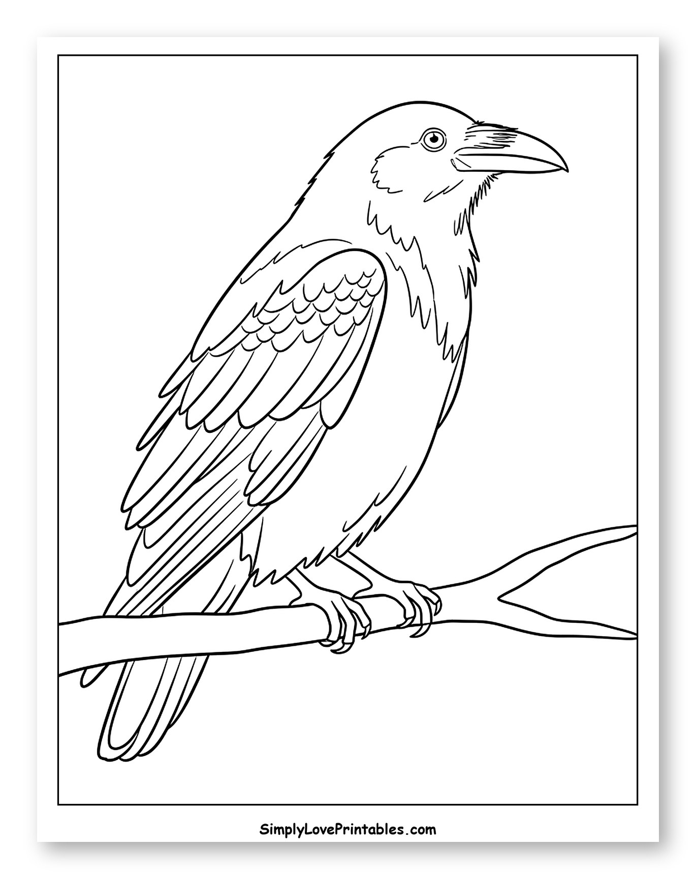 Simple Raven Perched on a Branch Coloring Sheet for Toddlers