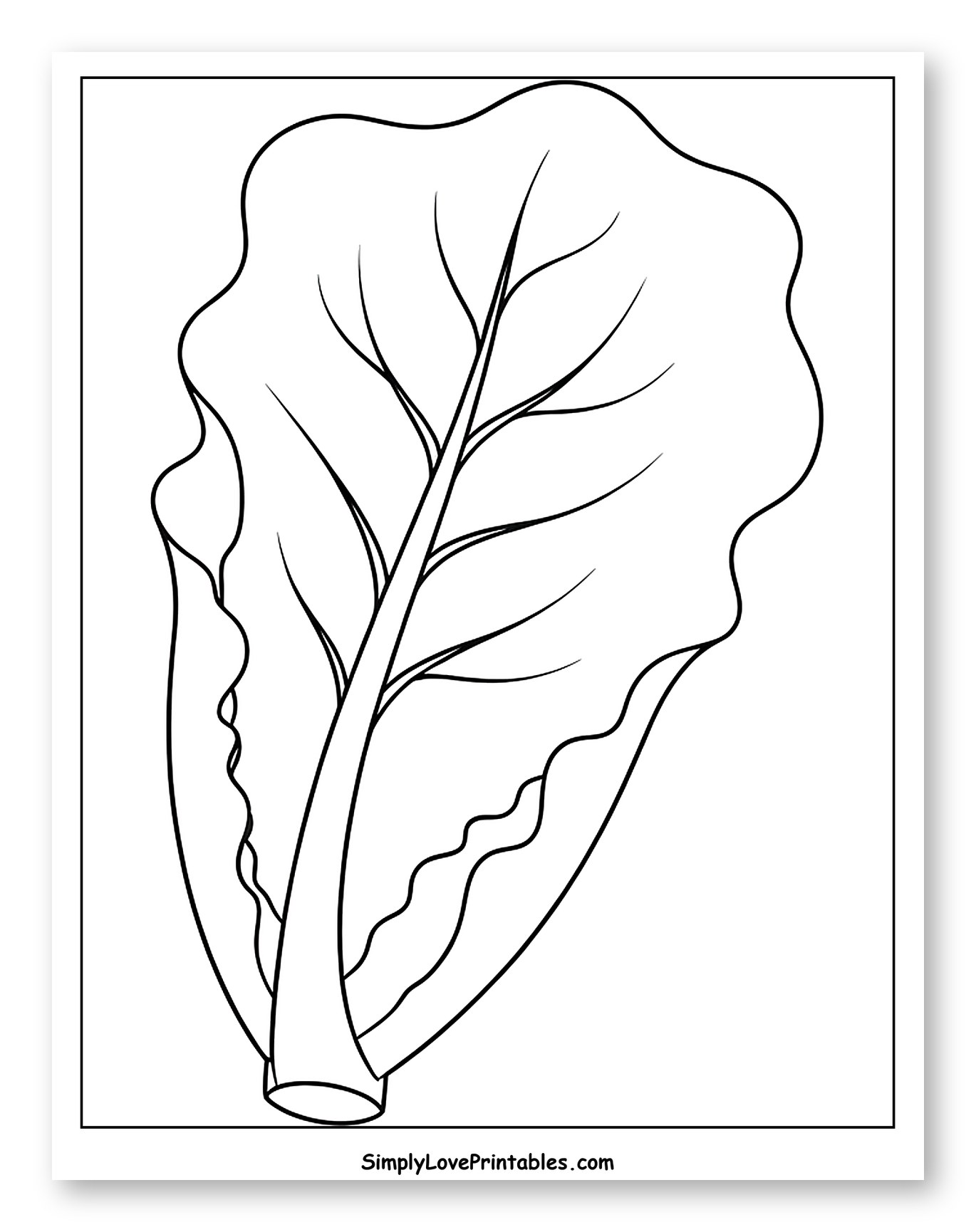 Single Fresh Lettuce Leaf Coloring Sheet for Toddlers