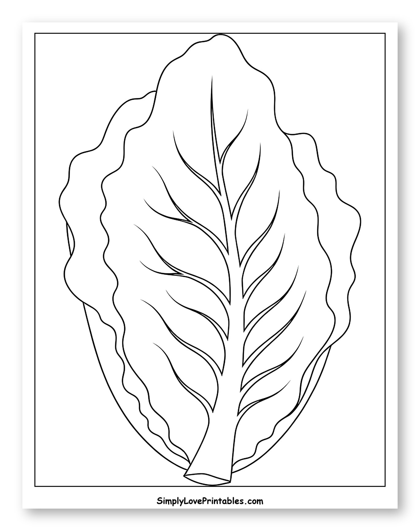 Single Lettuce Leaf Outline