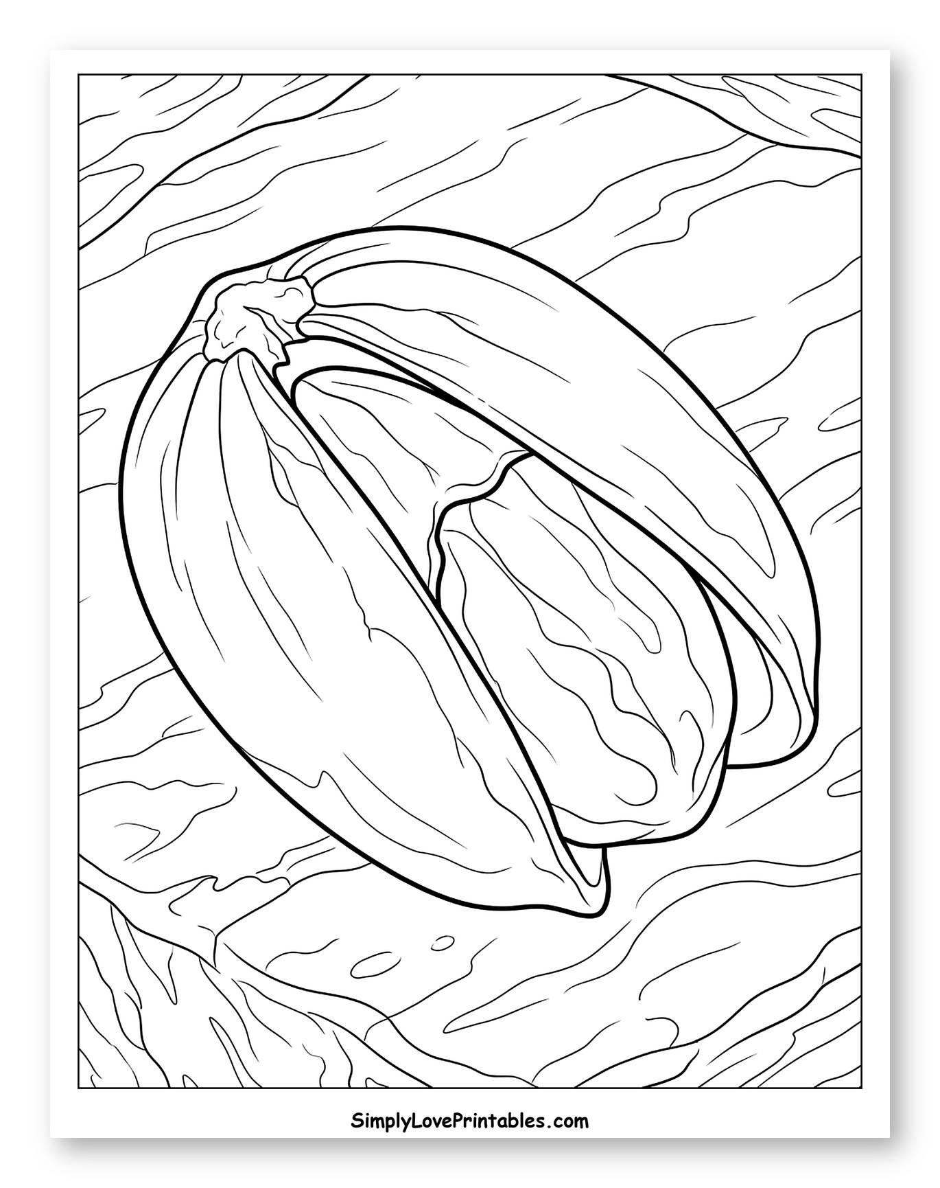 Single Open Pistachio Nut