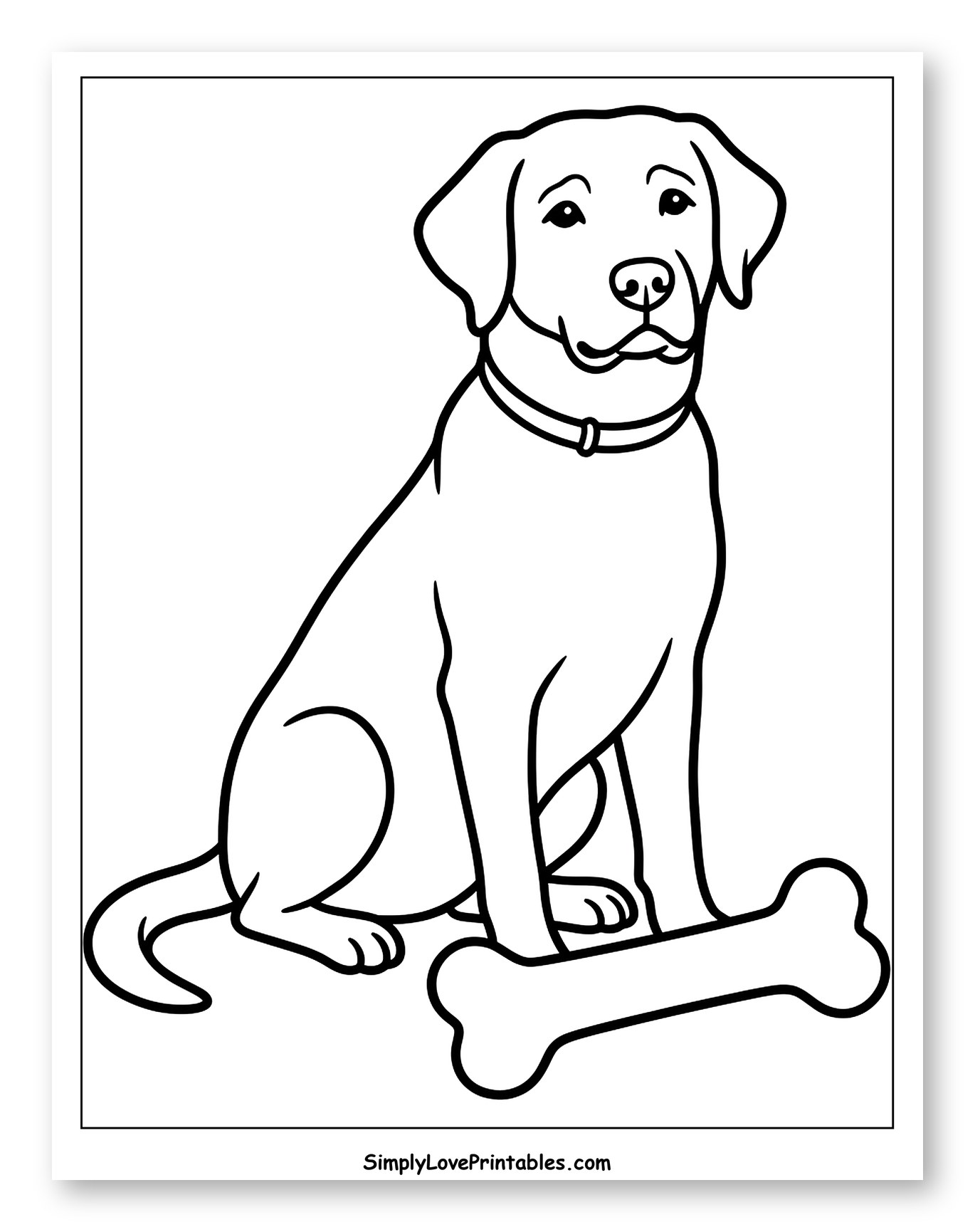 Sitting Labrador Retriever with Bone Coloring Page for Toddlers