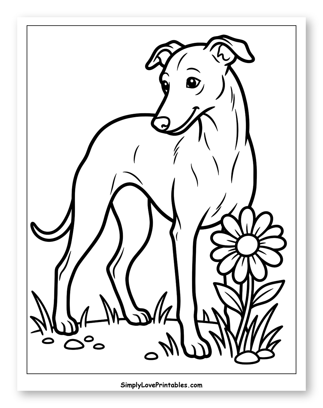 Sleek Whippet Dog and a Daisy Coloring Sheet for Toddlers