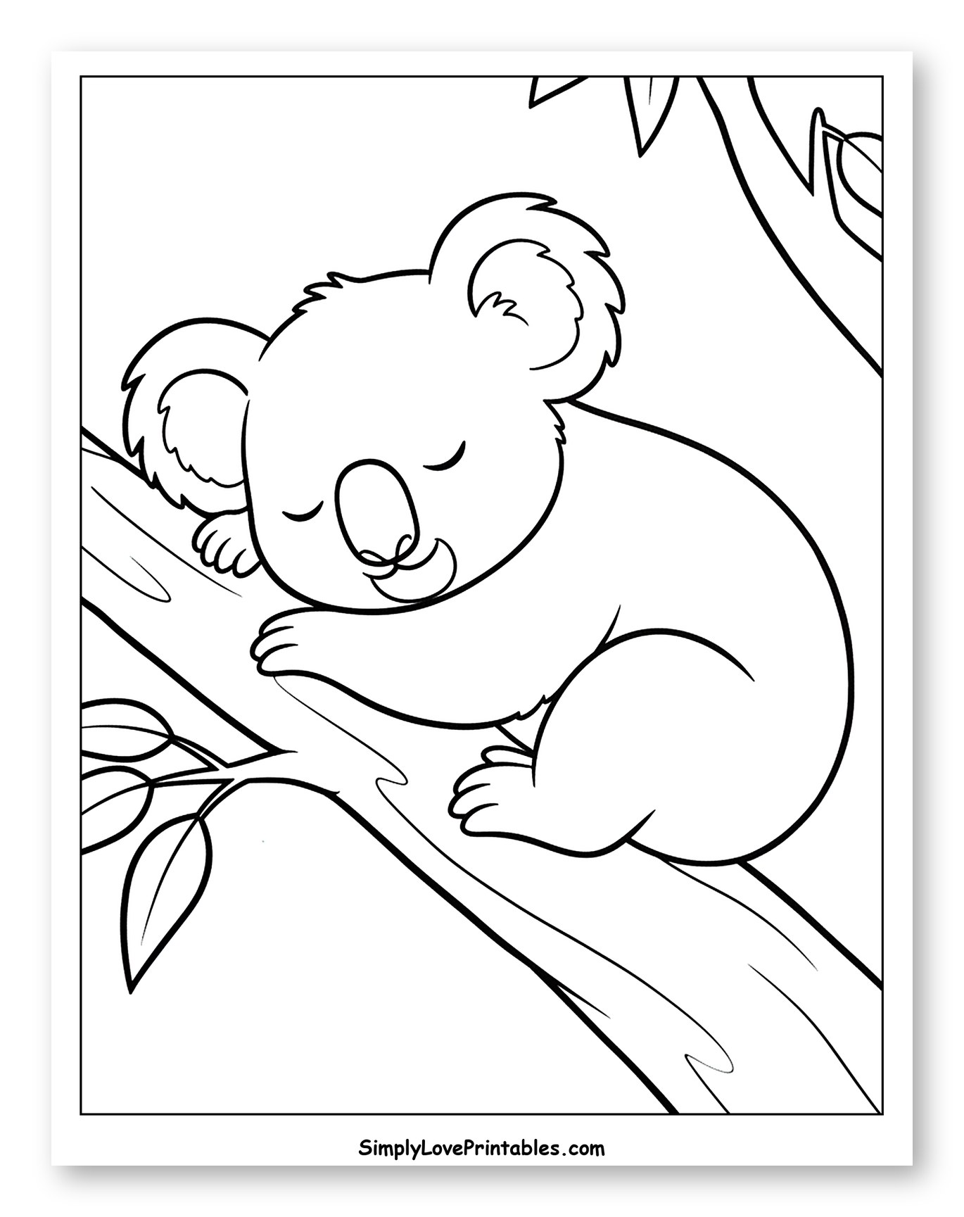 Sleeping Koala on Tree Branch