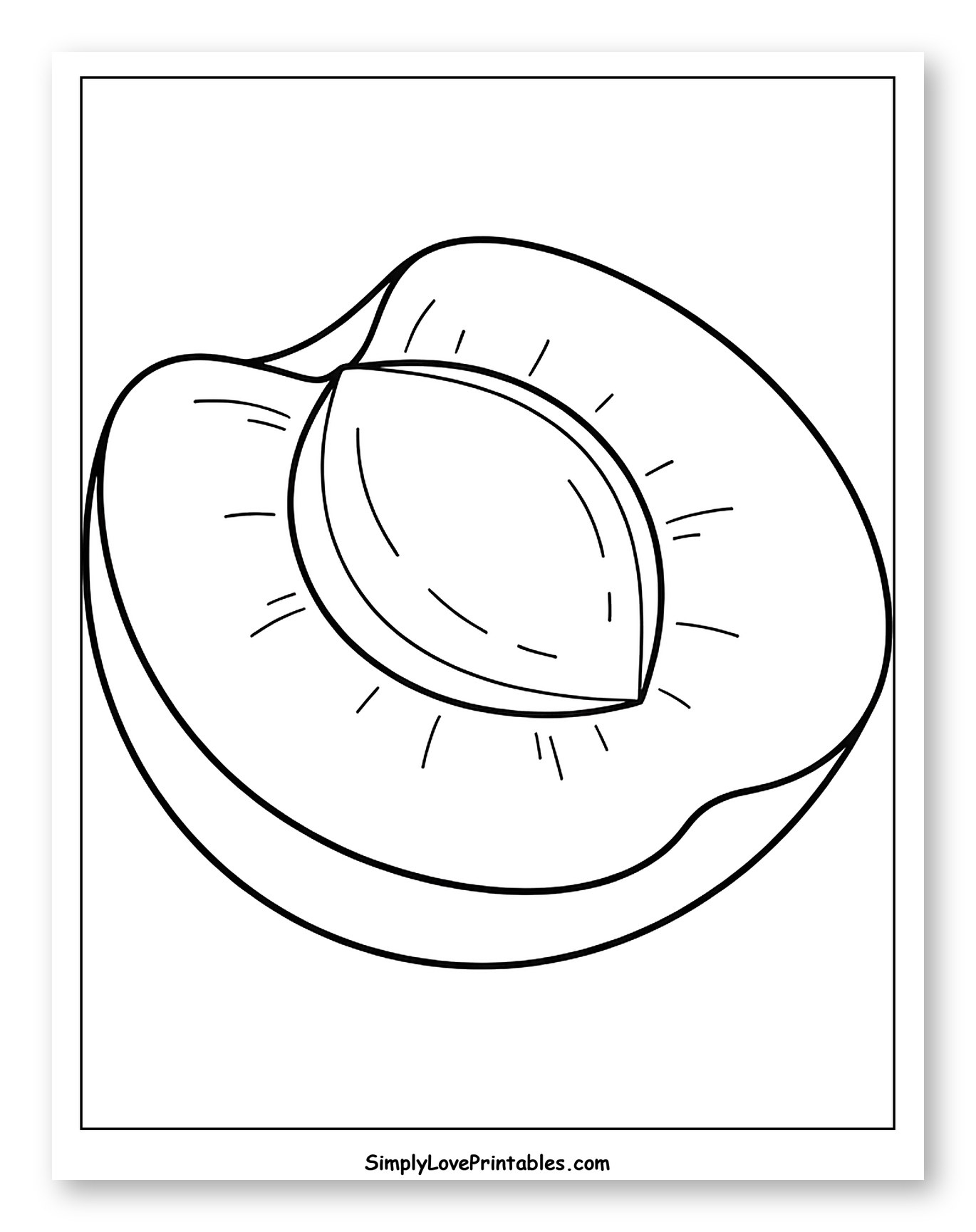 Sliced Apricot with Visible Pit