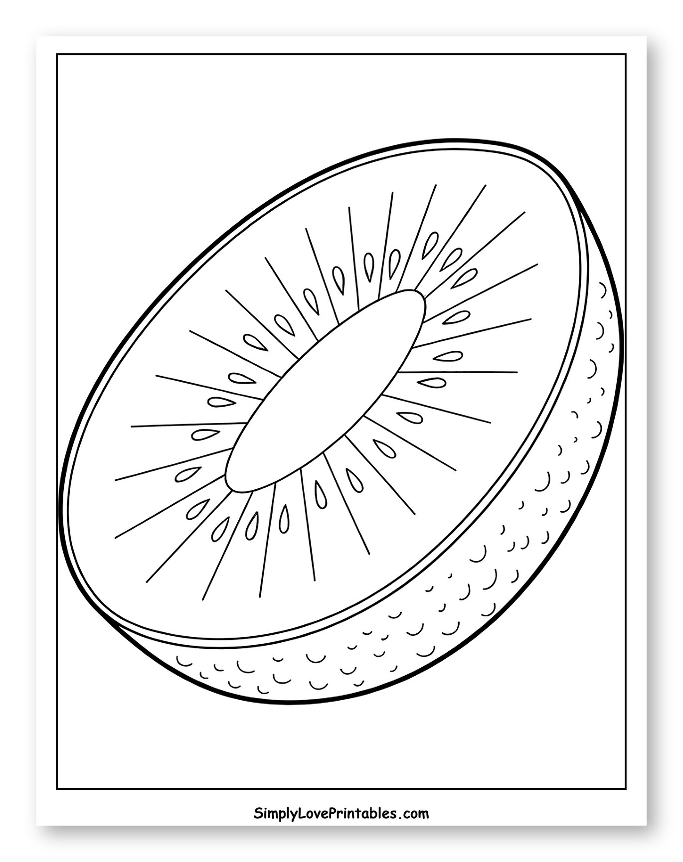 Sliced Kiwi Fruit with Seeds and Skin
