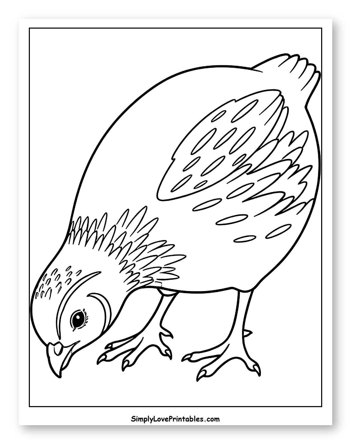 Small Quail Pecking at the Ground Coloring Sheet for Toddlers