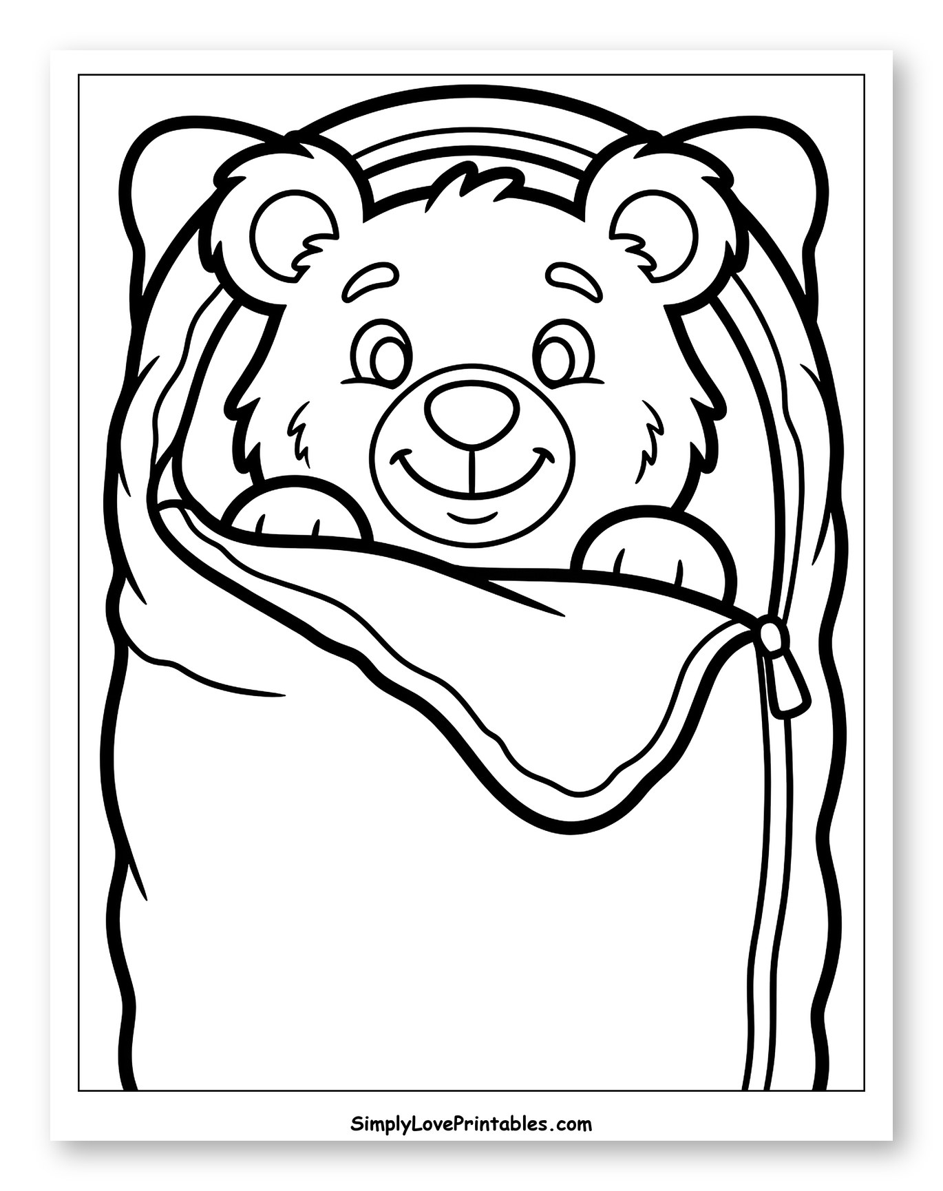 Smiling Bear in a Sleeping Bag