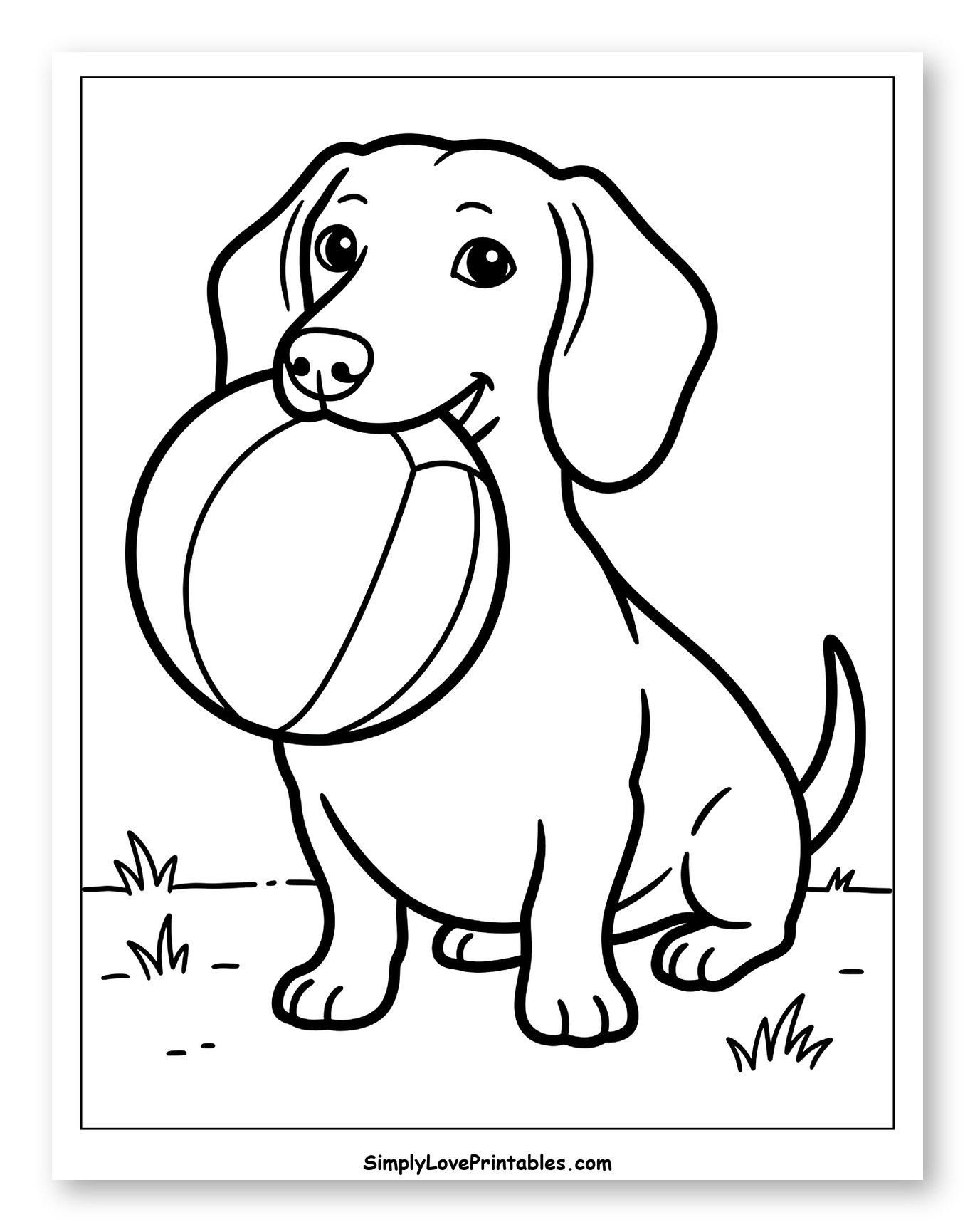 Smiling Dachshund Carrying a Ball