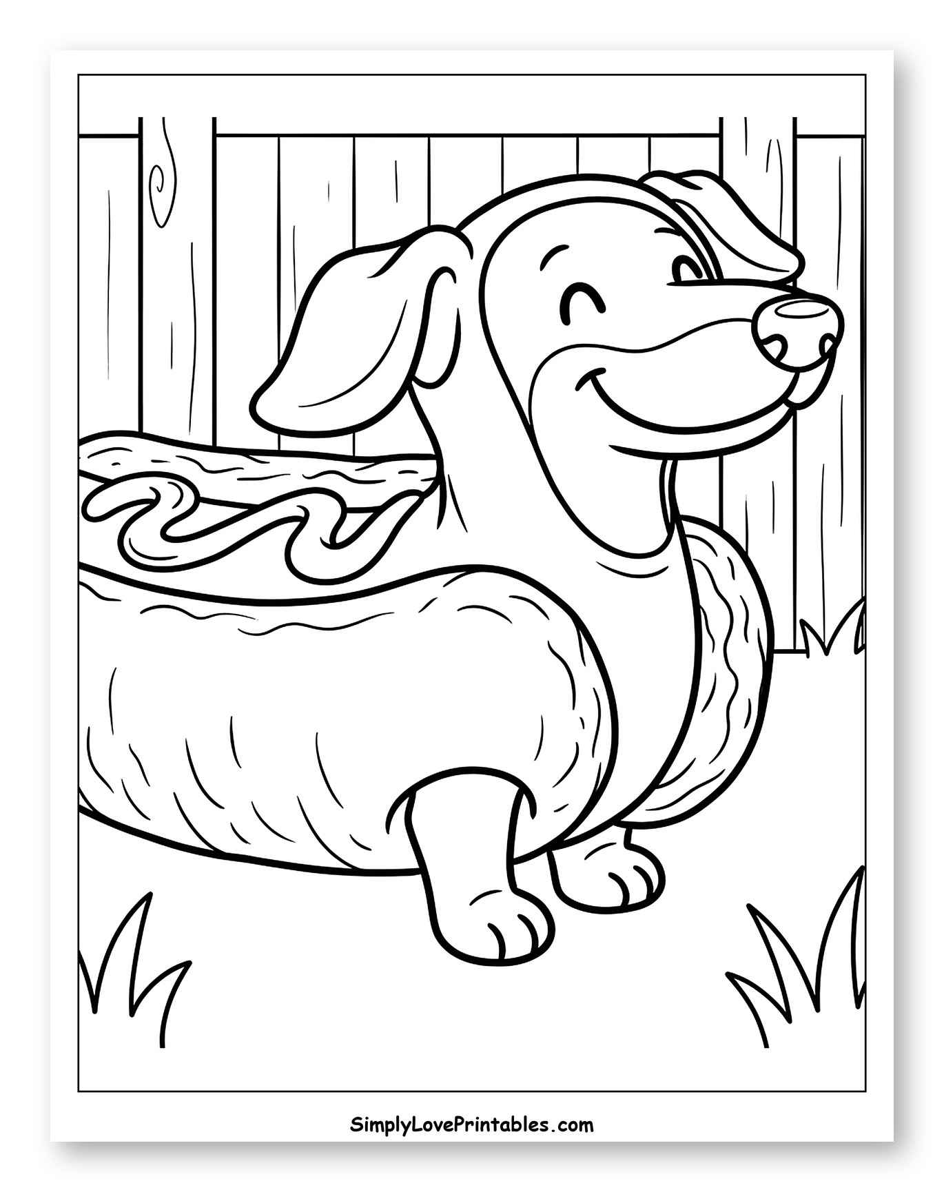 Smiling Dachshund Dog by a Fence