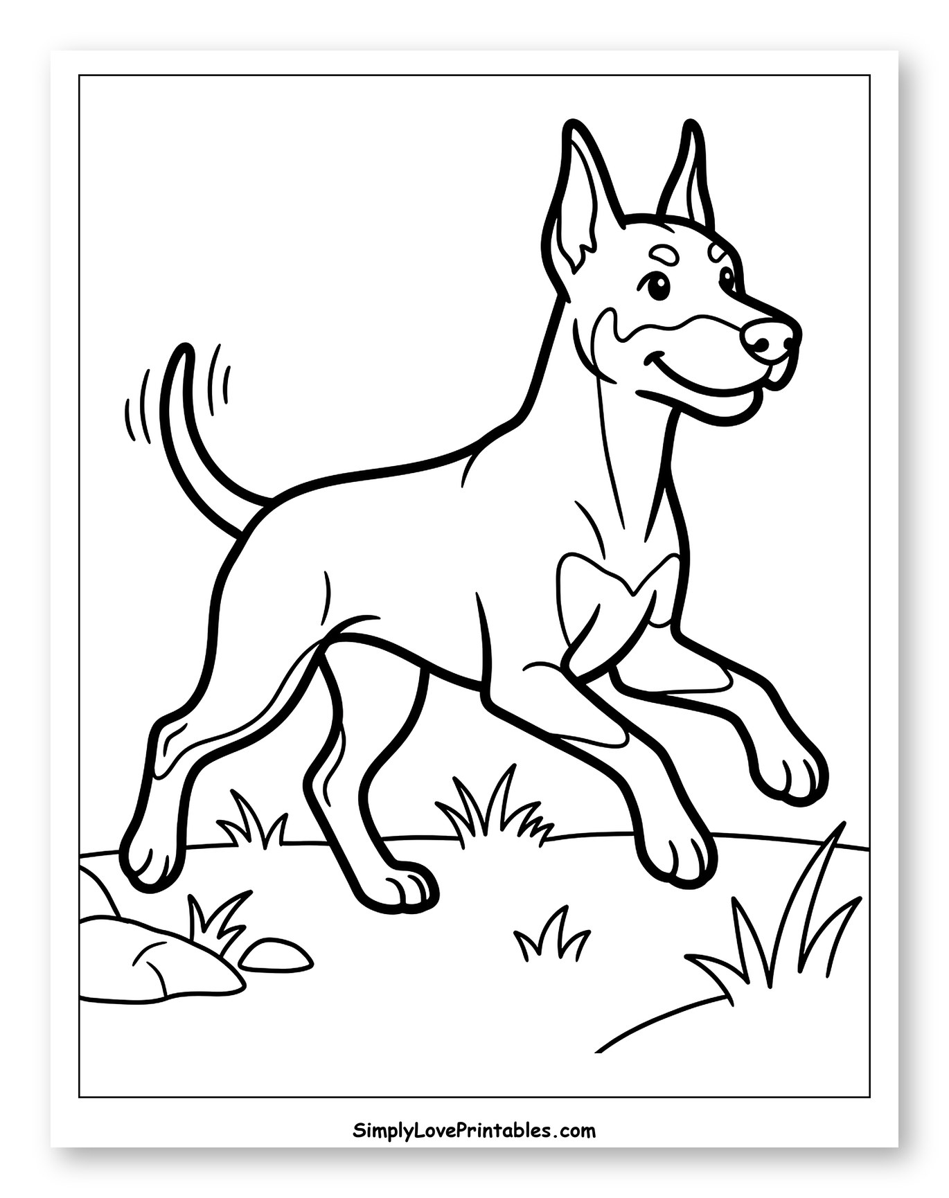 Smiling Doberman Running Through Grass