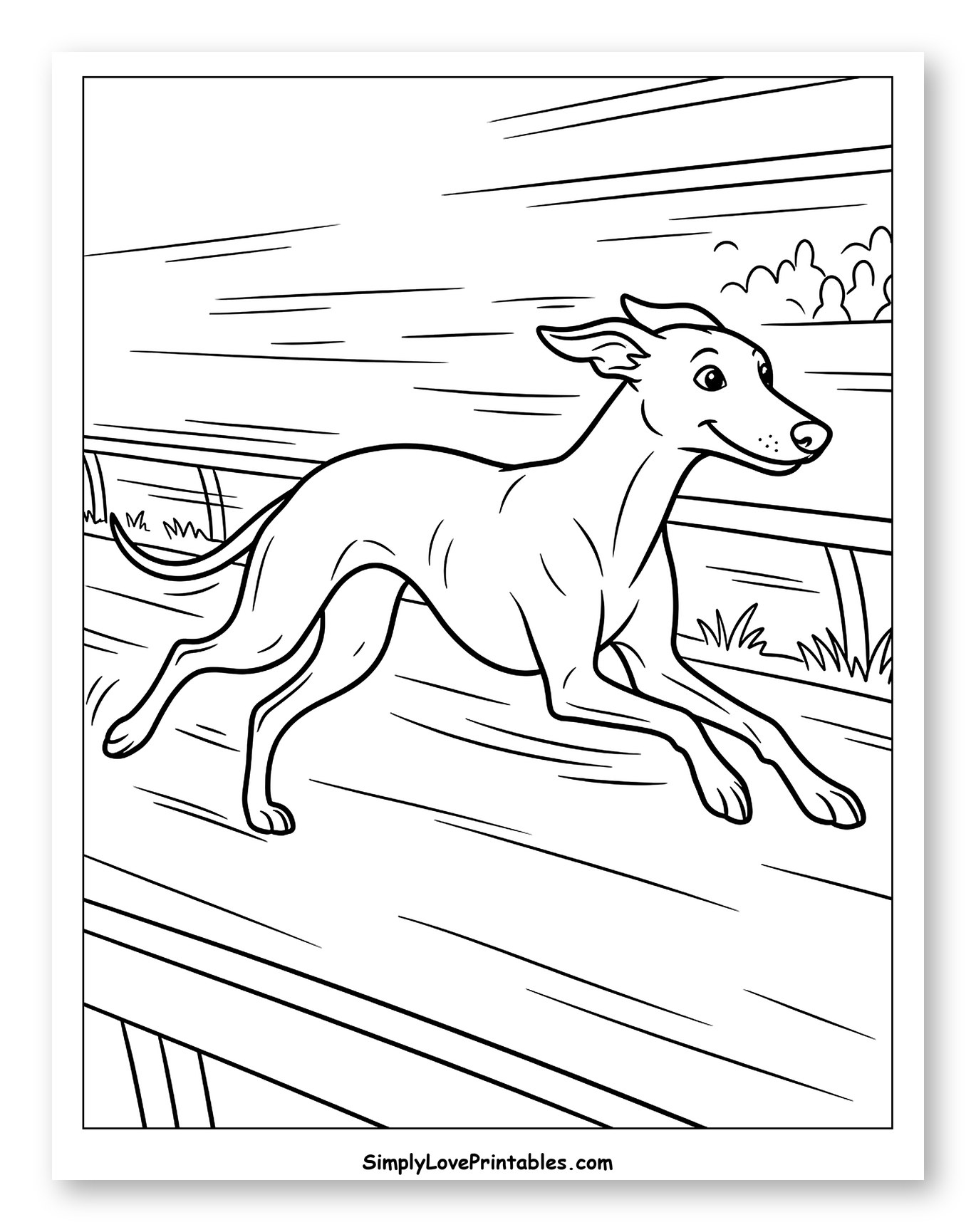 Smiling Greyhound Running Fast on a Track