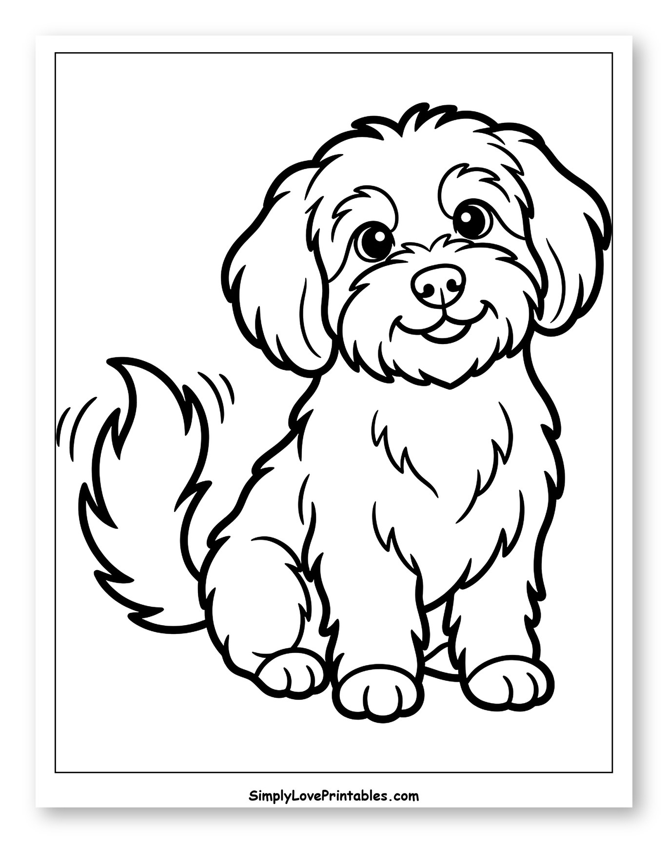 Smiling Havanese Puppy Wagging Tail