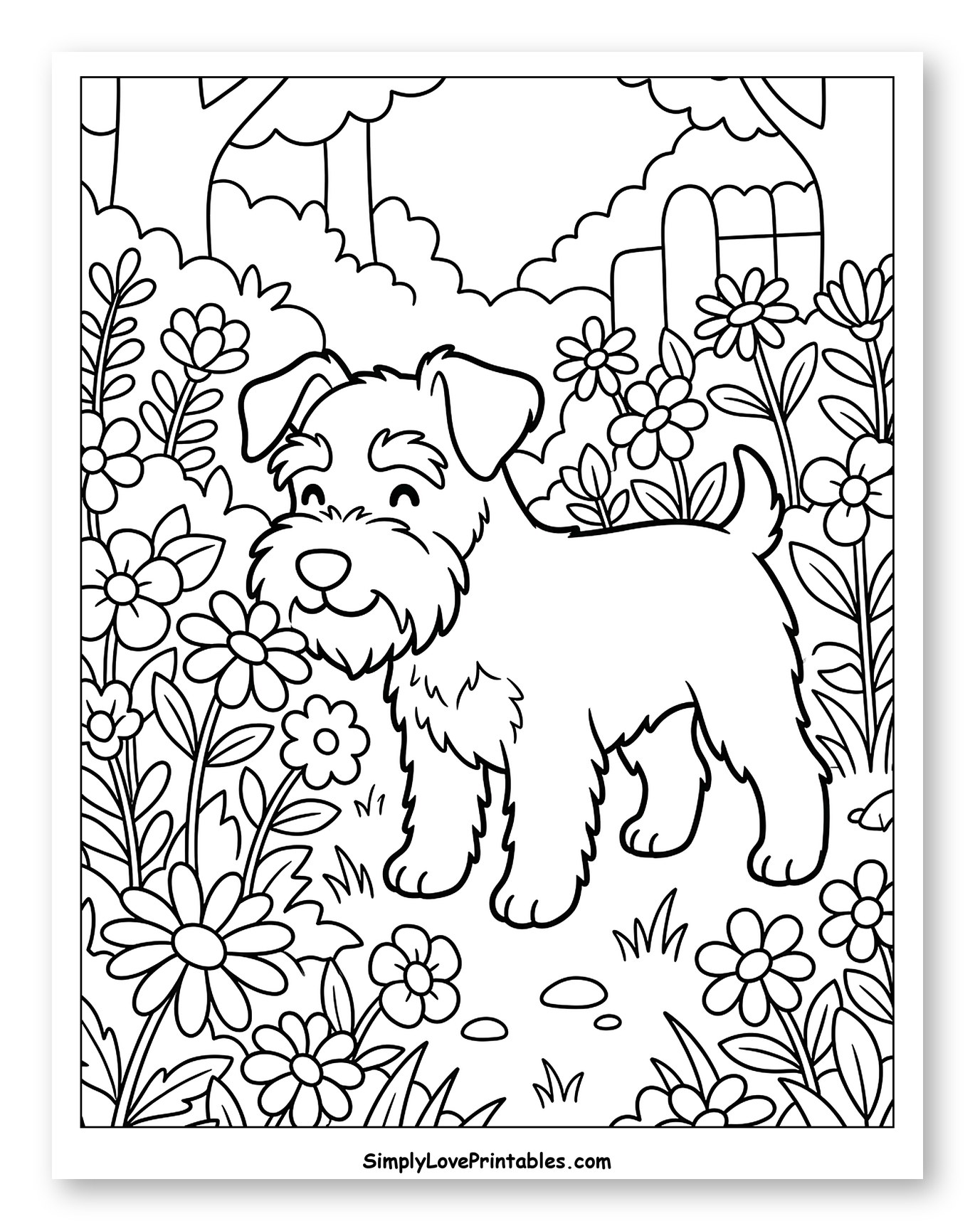 Smiling Miniature Schnauzer Puppy in a Field of Flowers
