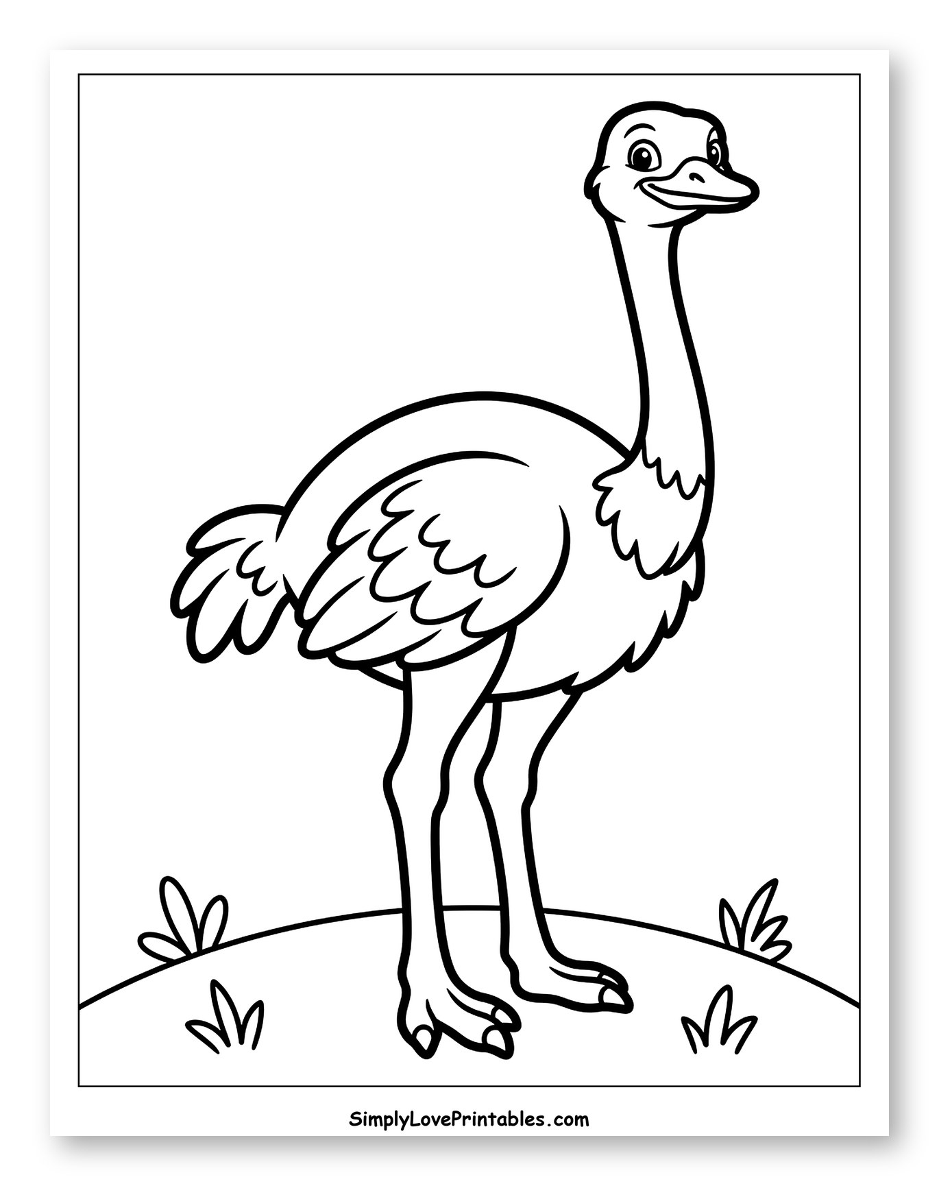Smiling Ostrich Standing on a Grassy Hill