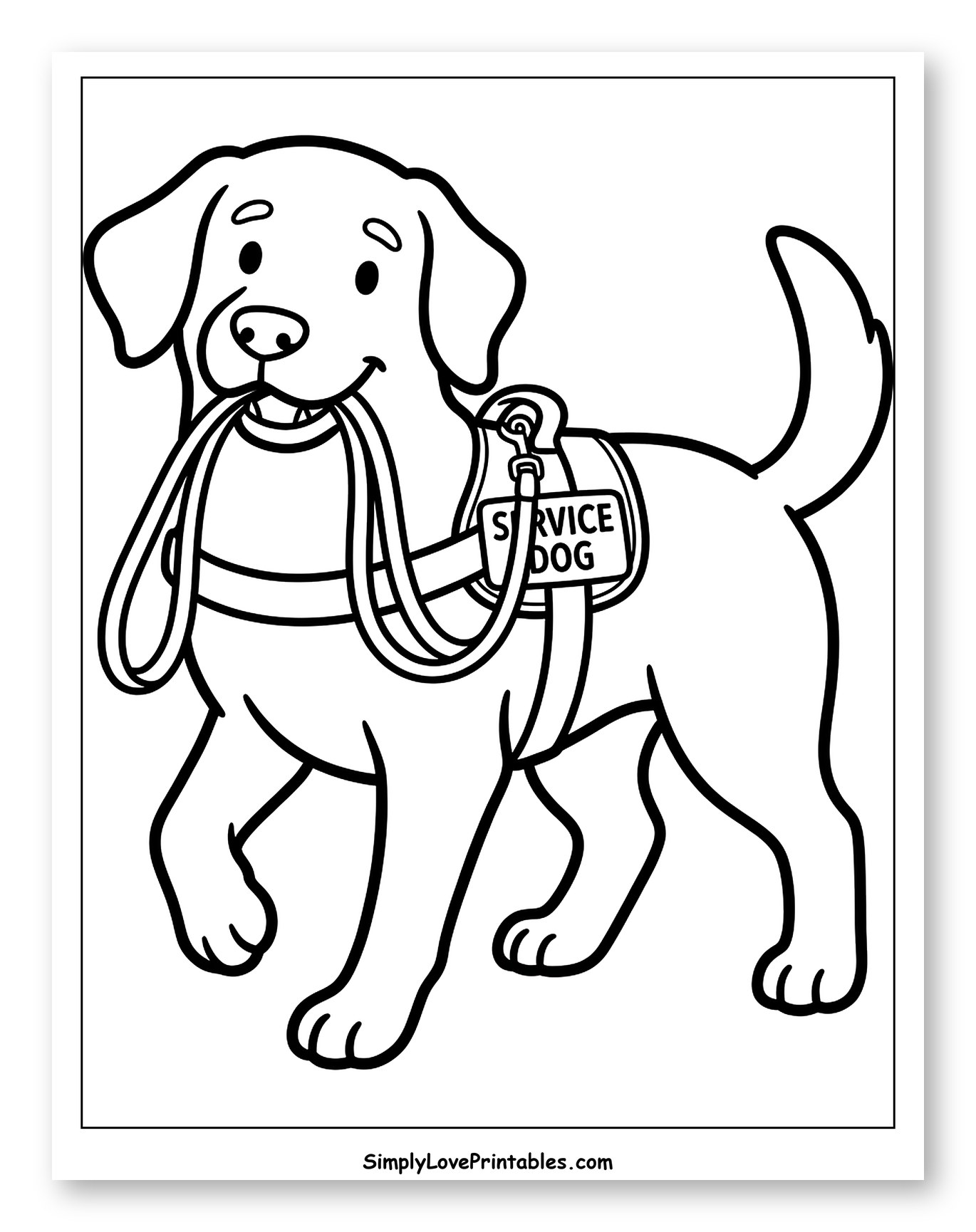 Smiling Service Dog Walking with Leash