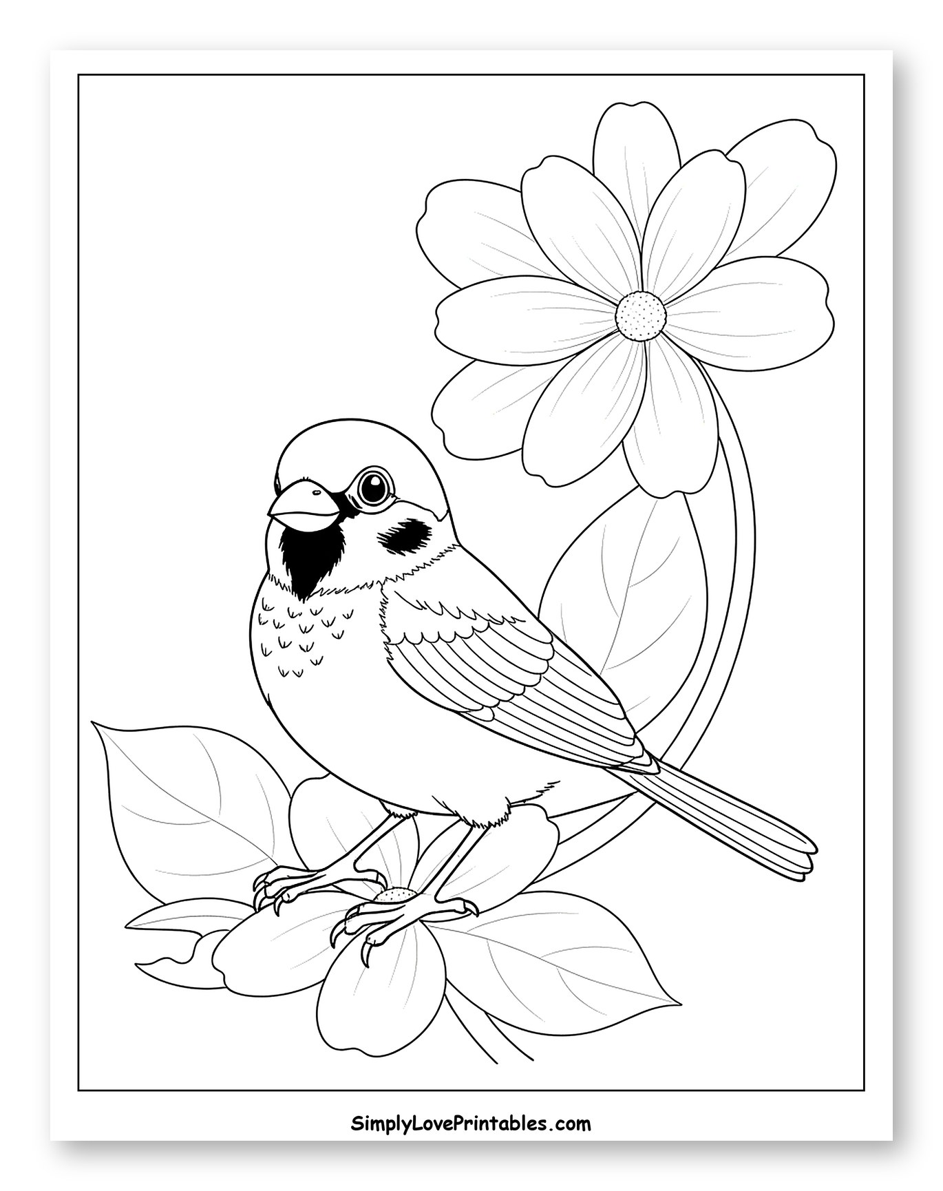 Sparrow Perched on a Flower with Cosmos Coloring Sheet for Toddlers
