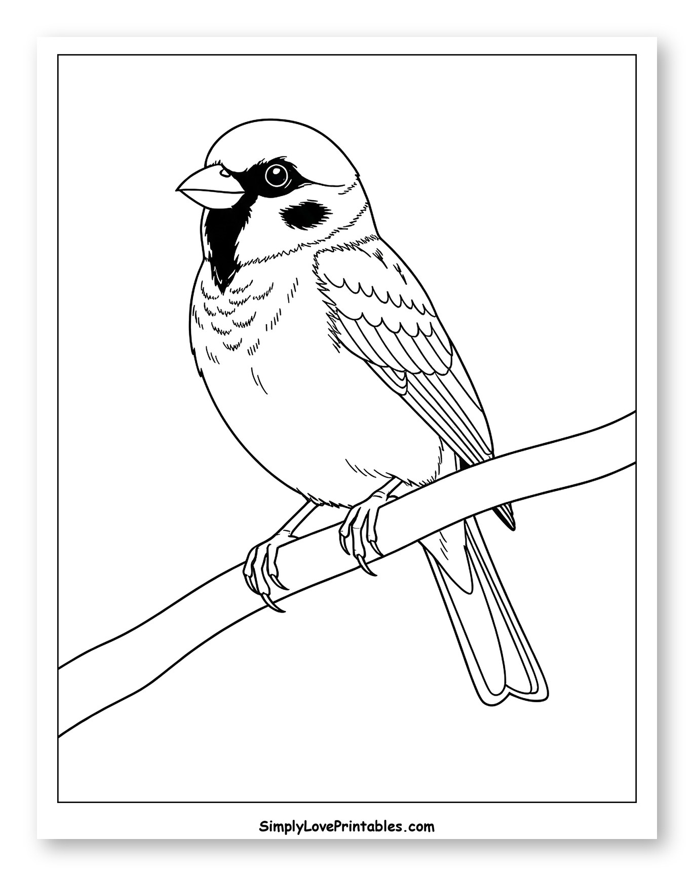 Sparrow Perched on a Tree Branch Coloring Page for Toddlers
