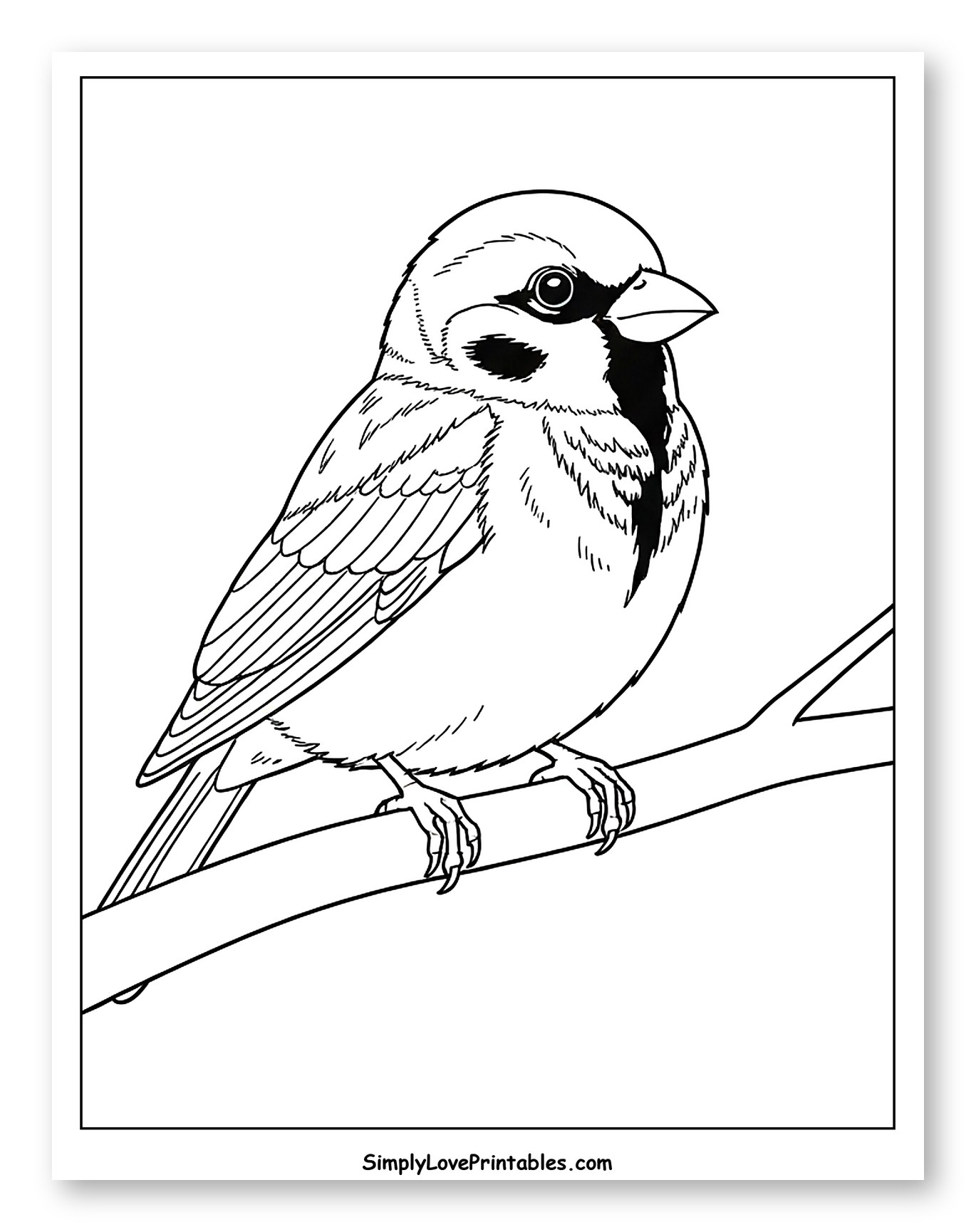 Sparrow Perched on a Tree Branch to Color for Toddlers