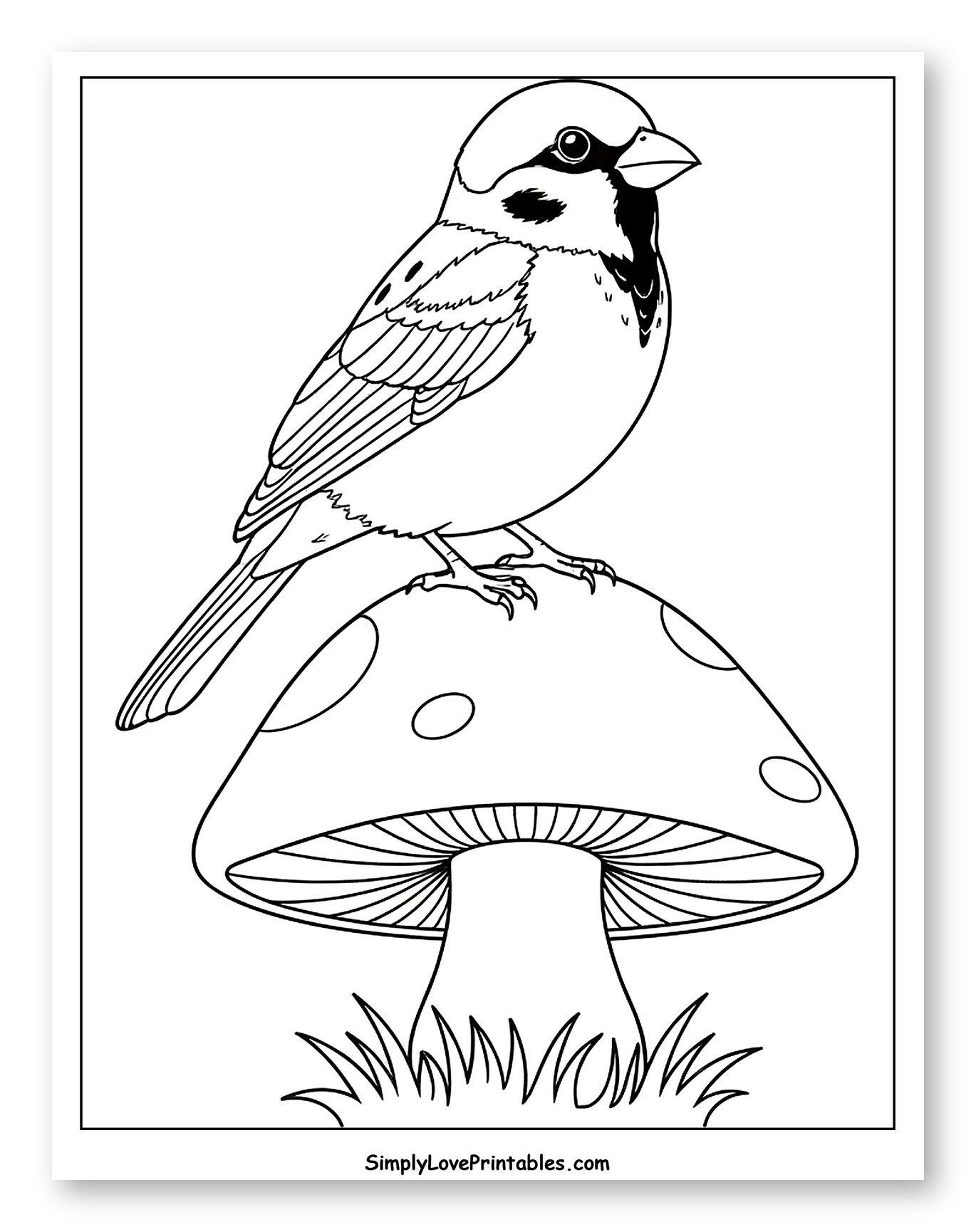 Sparrow Sitting on a Spotted Mushroom