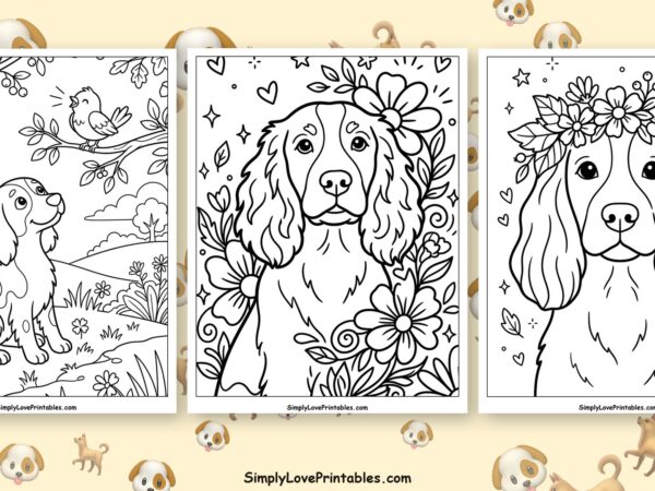 Springer Spaniel coloring pages featured image