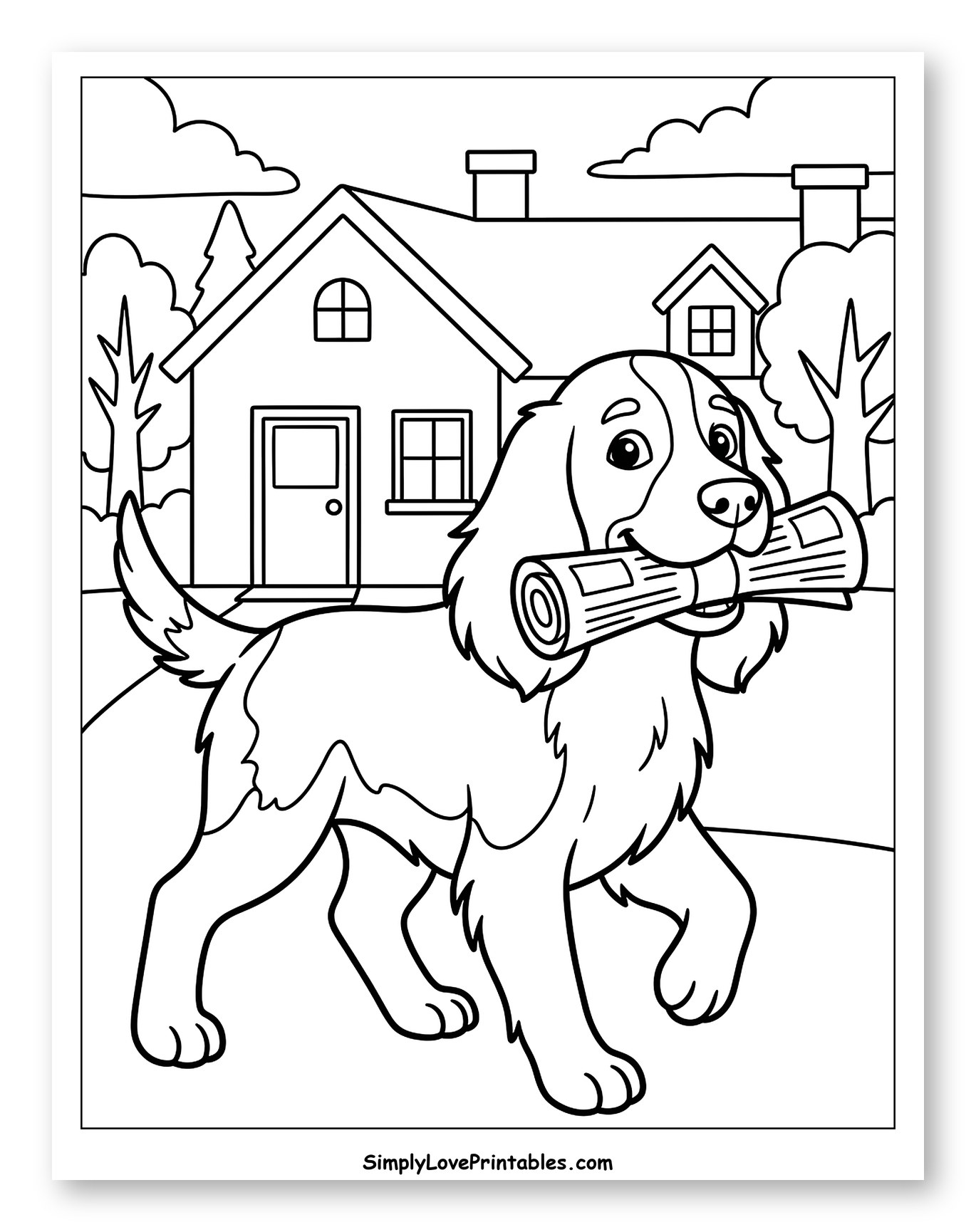 Springer Spaniel Delivering Newspaper to a House