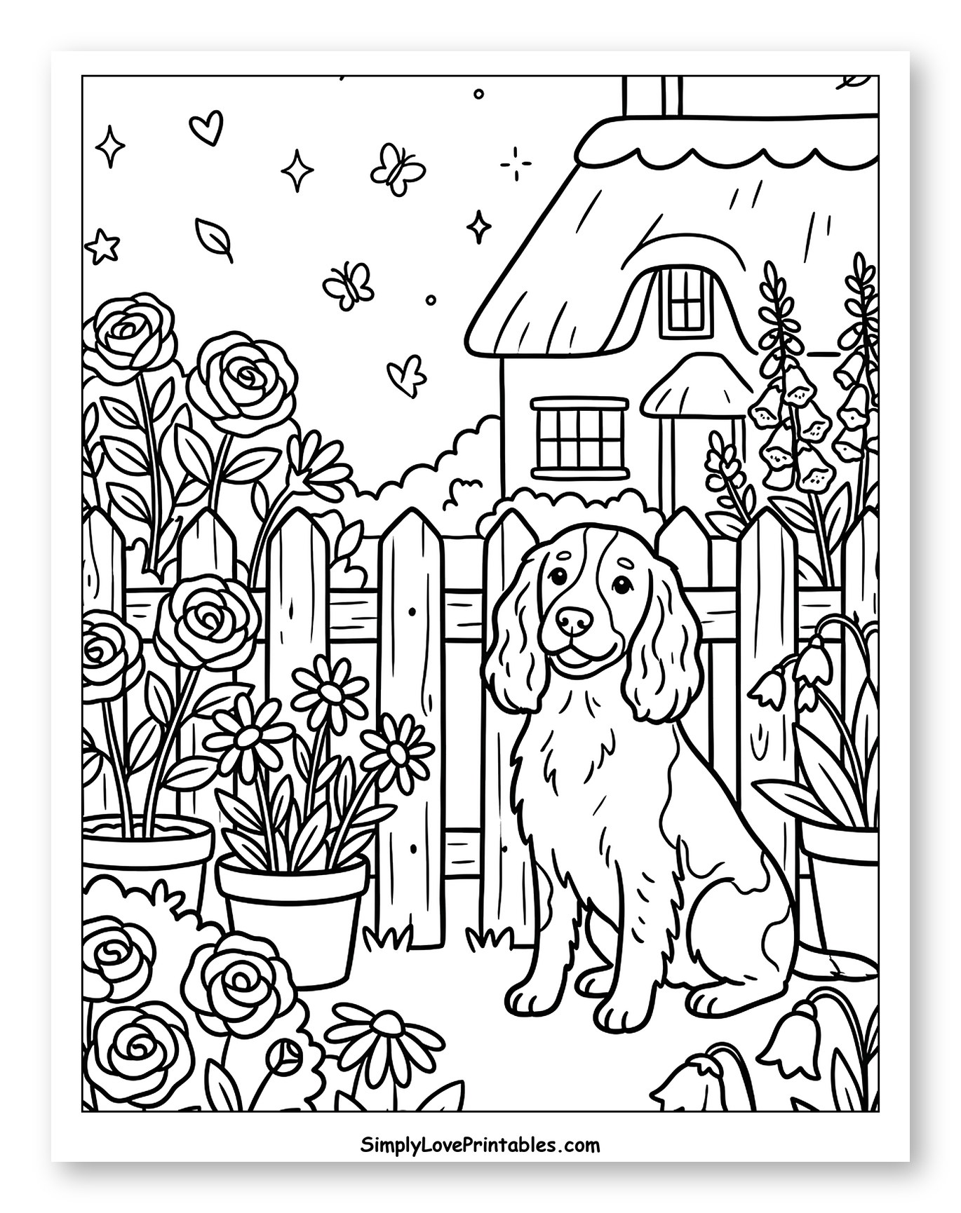 Springer Spaniel Dog in a Cottage Garden