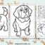 St. Bernard coloring pages featured image