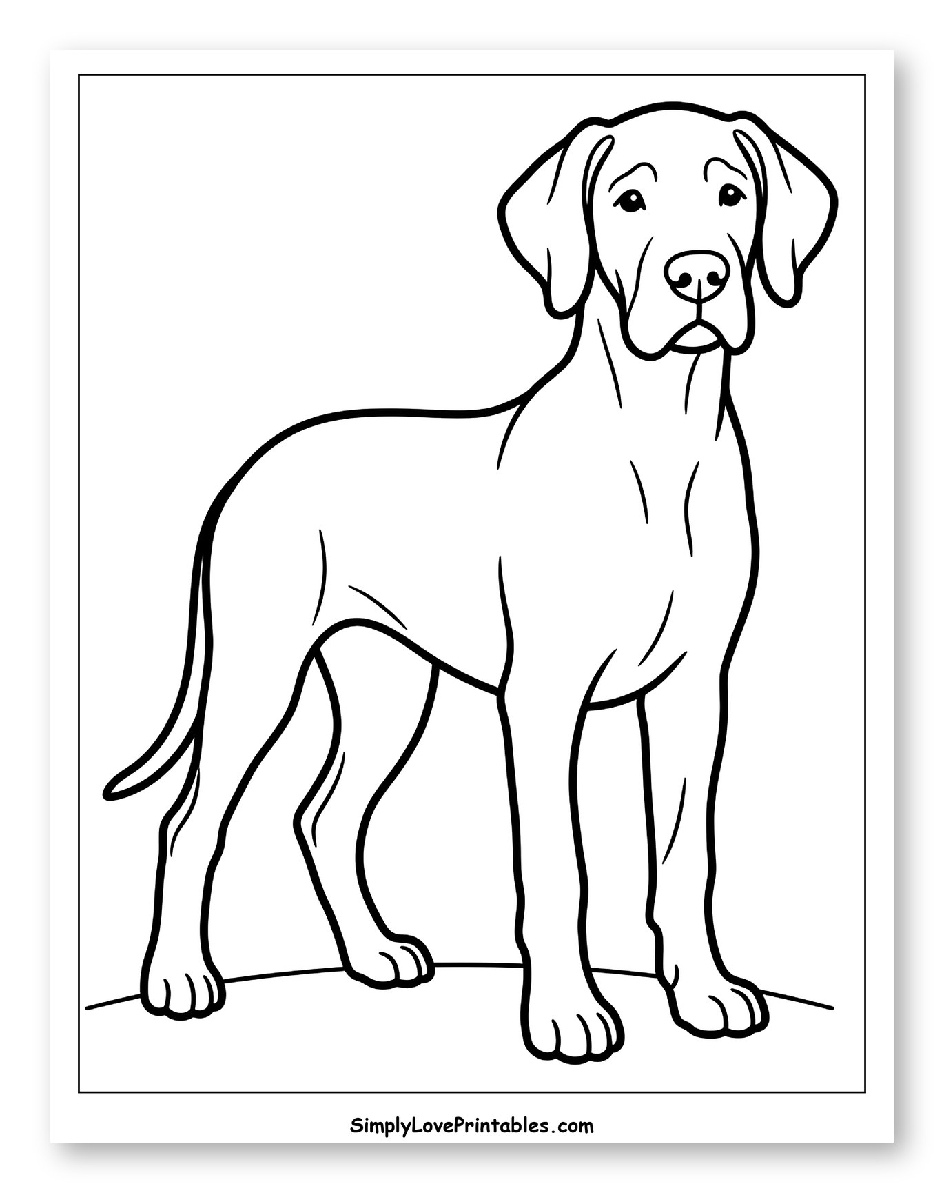 Standing Great Dane Dog Coloring Sheet for Toddlers
