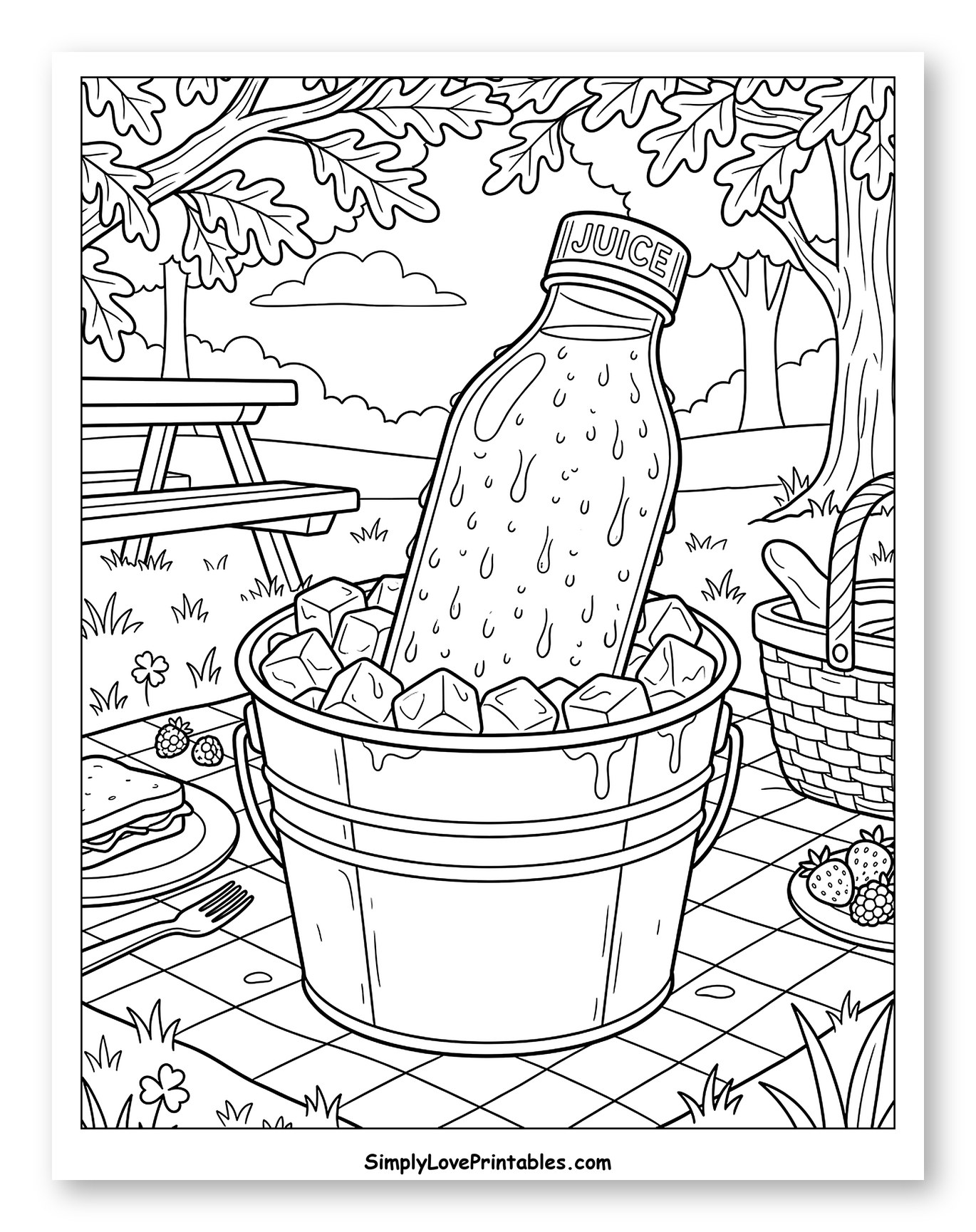 Summer Picnic with Chilled Juice Bottle