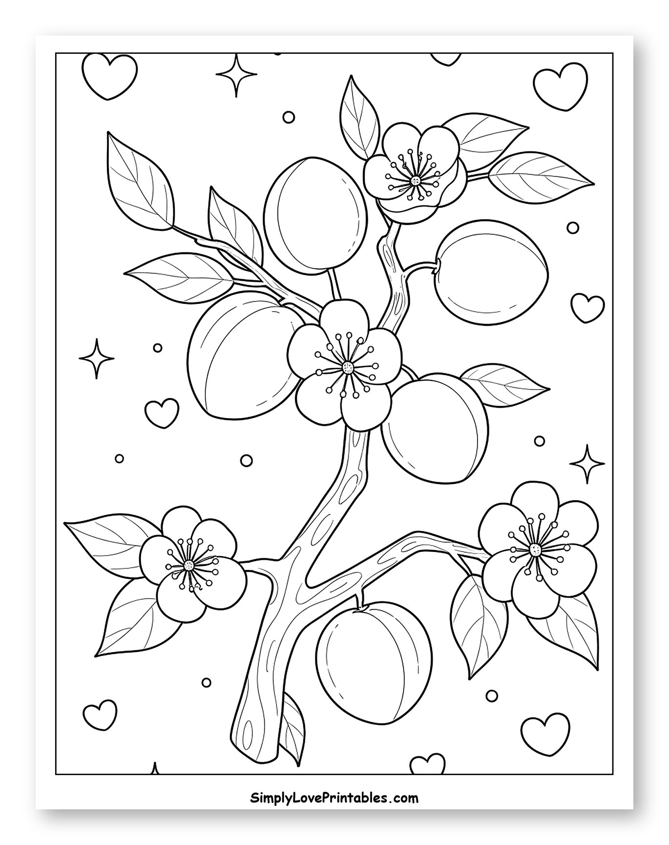 Sweet Apricots and Blossoms on a Branch