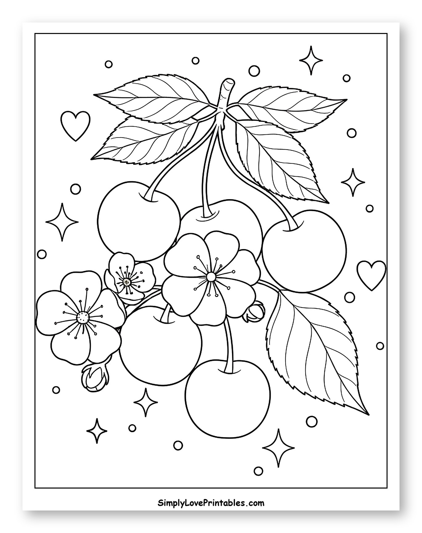 Sweet Cherries and Delicate Cherry Blossoms