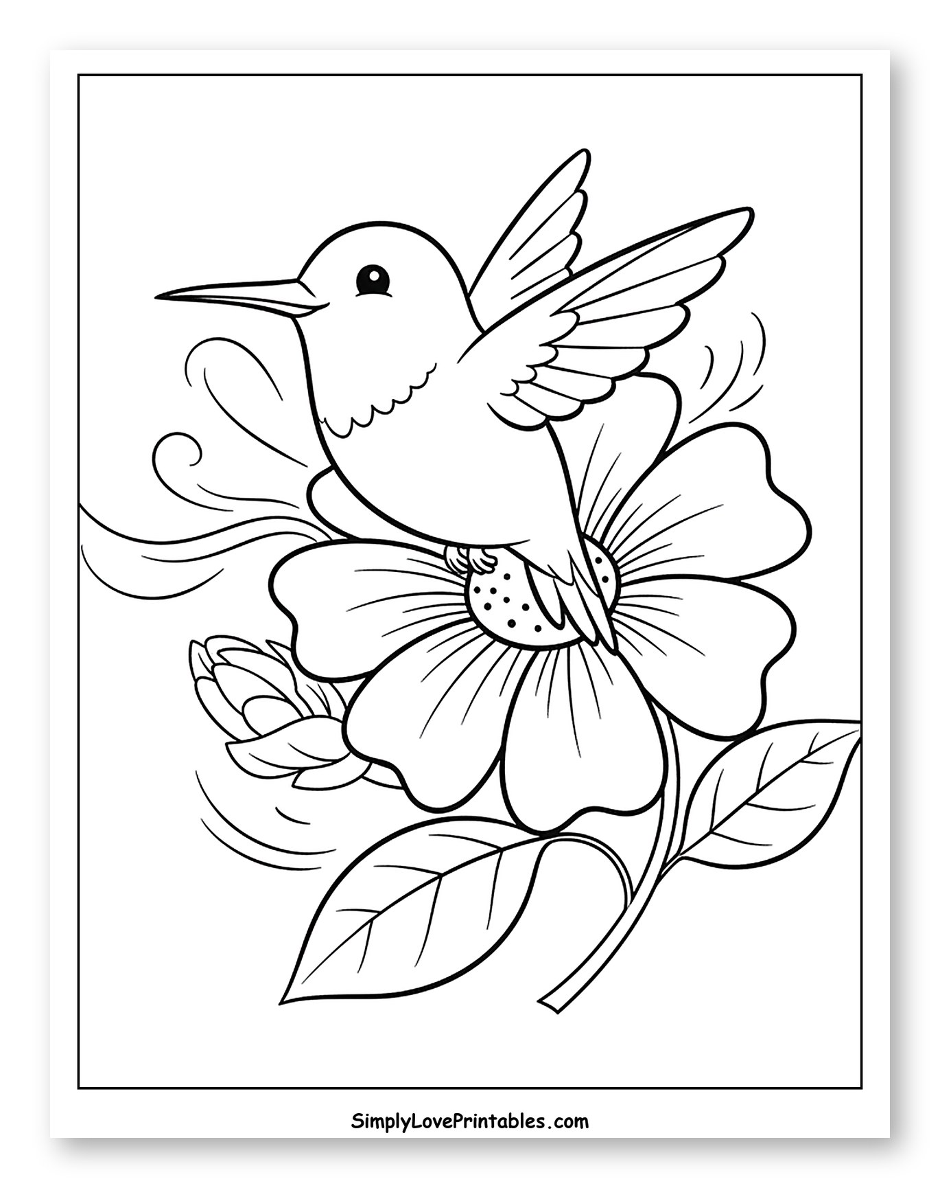 Sweet Hummingbird with Wings on a Flower