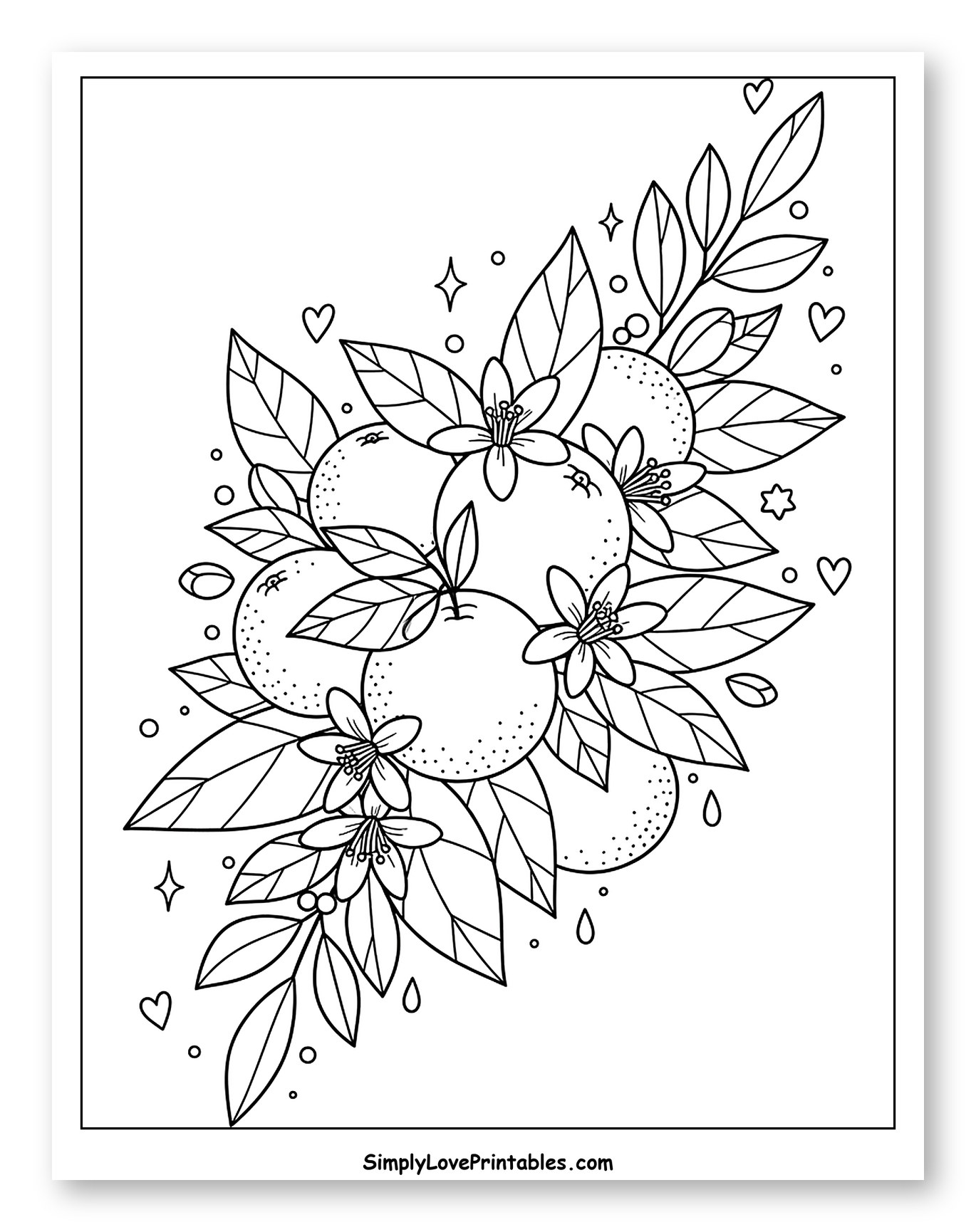 Sweet Oranges with Blossoms and Leaves
