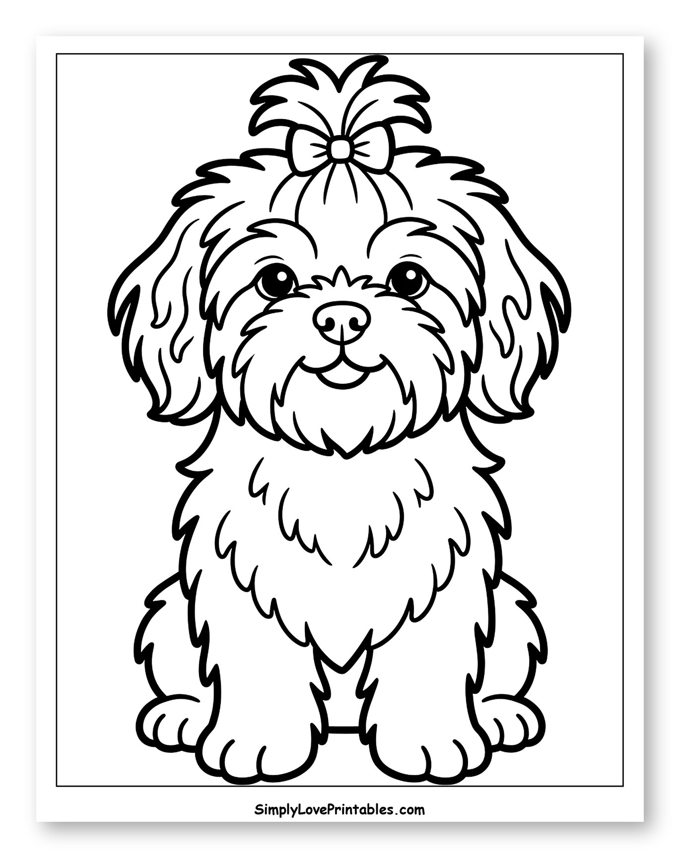 Sweet Shih Tzu Puppy with Hair Bow