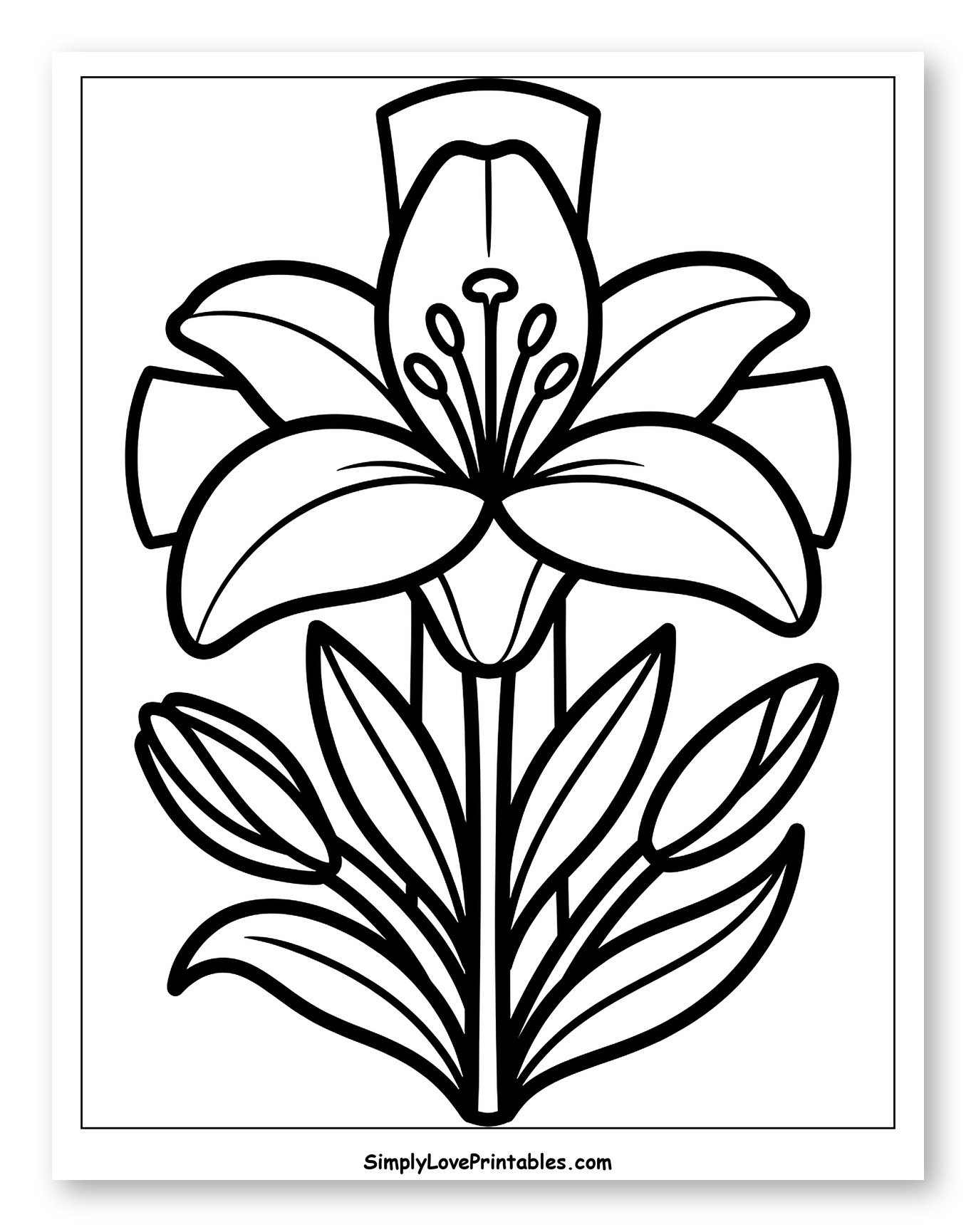 Symbolic Lily with Buds and Foliage