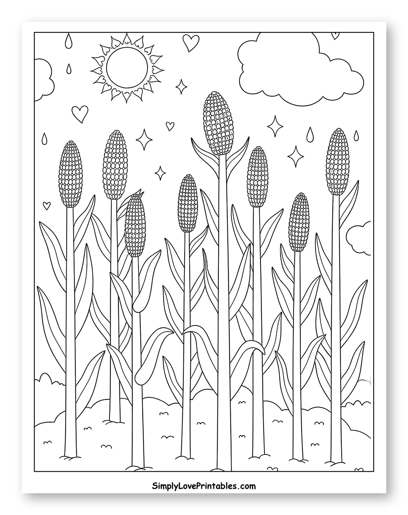 Tall Cornfield with Sun, Clouds, and Rain