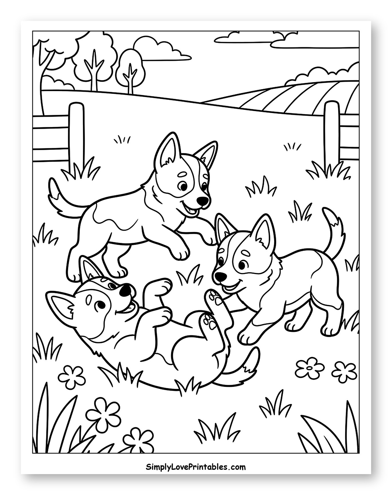 Three Australian Cattle Dog Puppies Playing Outdoors